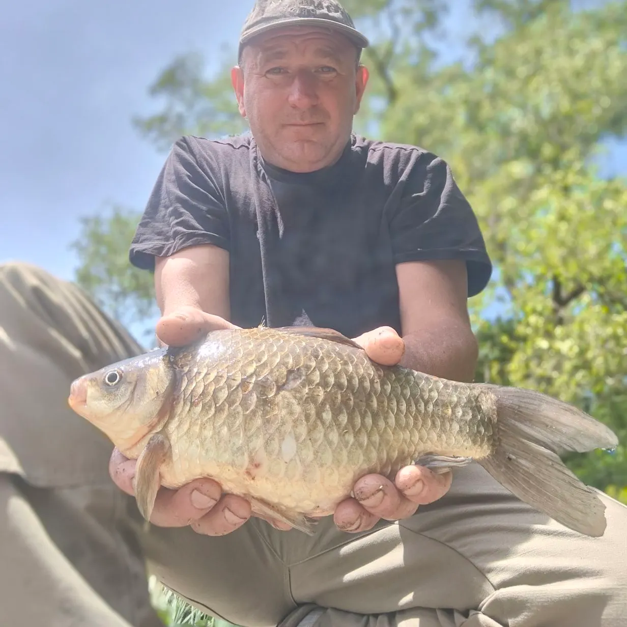 The most recent Japanese white crucian carp catches on Fishbrain