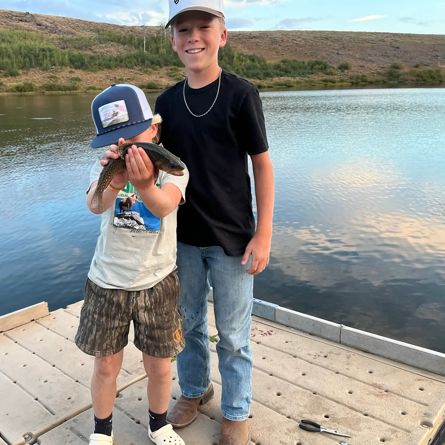 Brook trout caught on Fishbrain