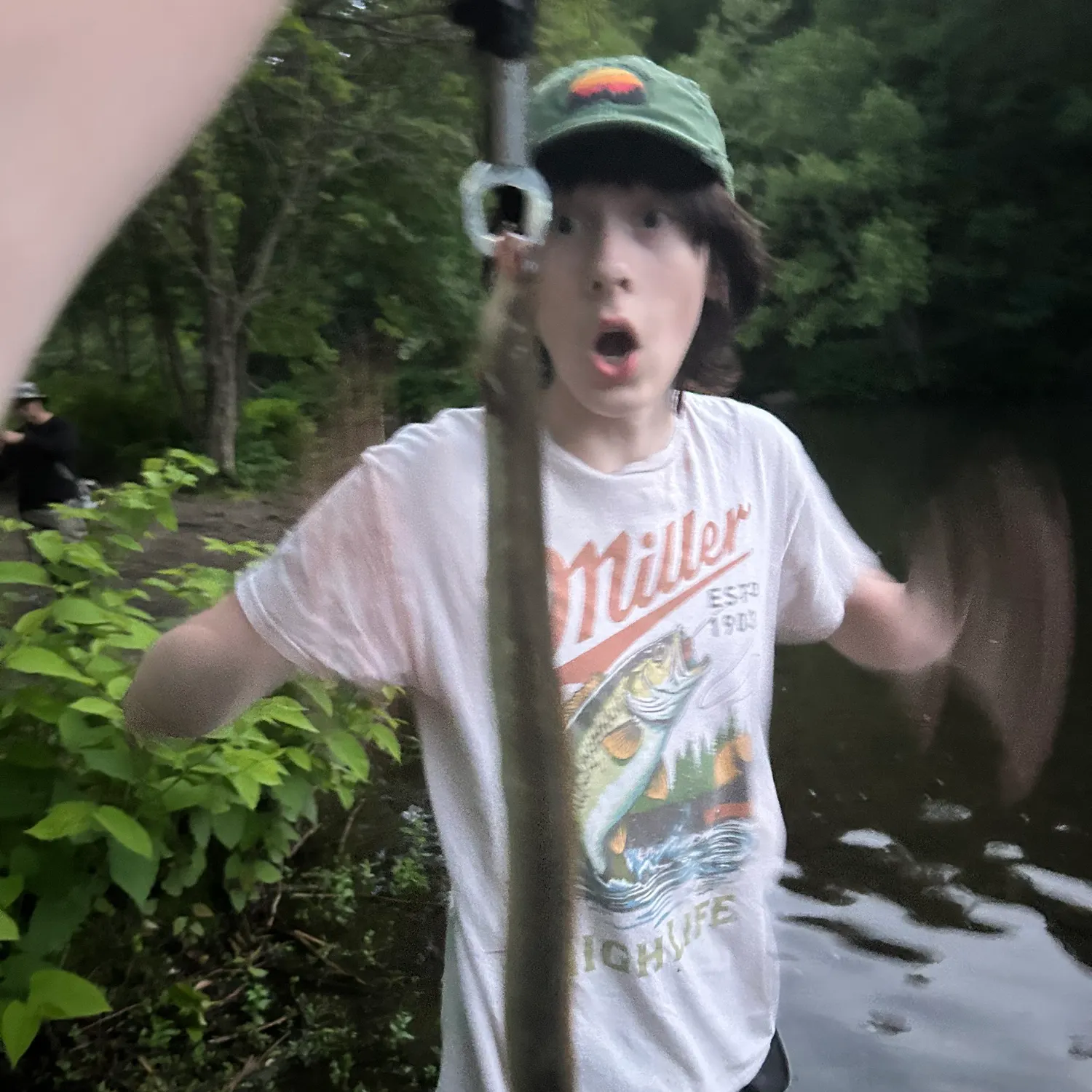 The most recent American eel catches on Fishbrain