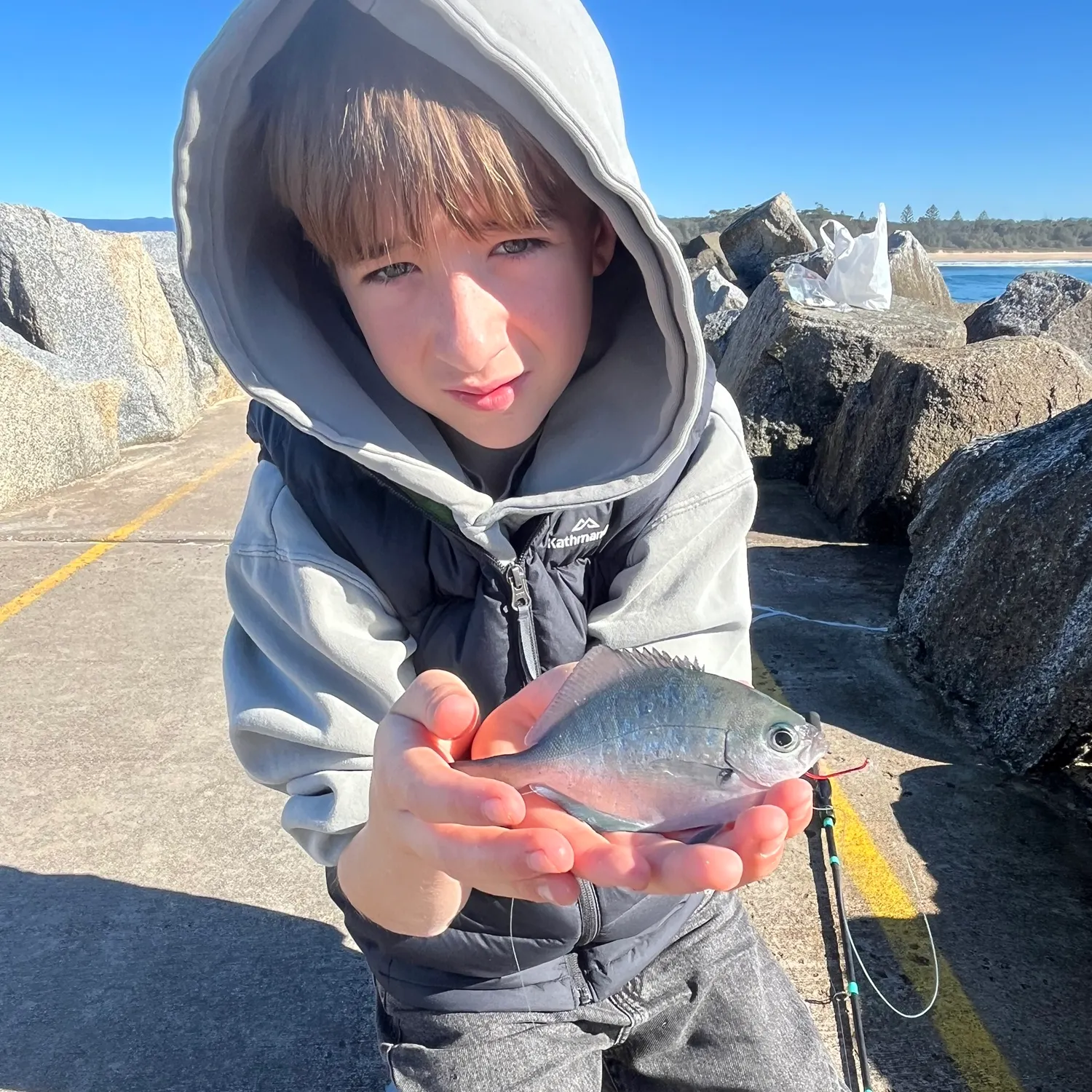 Silver sweep caught on Fishbrain