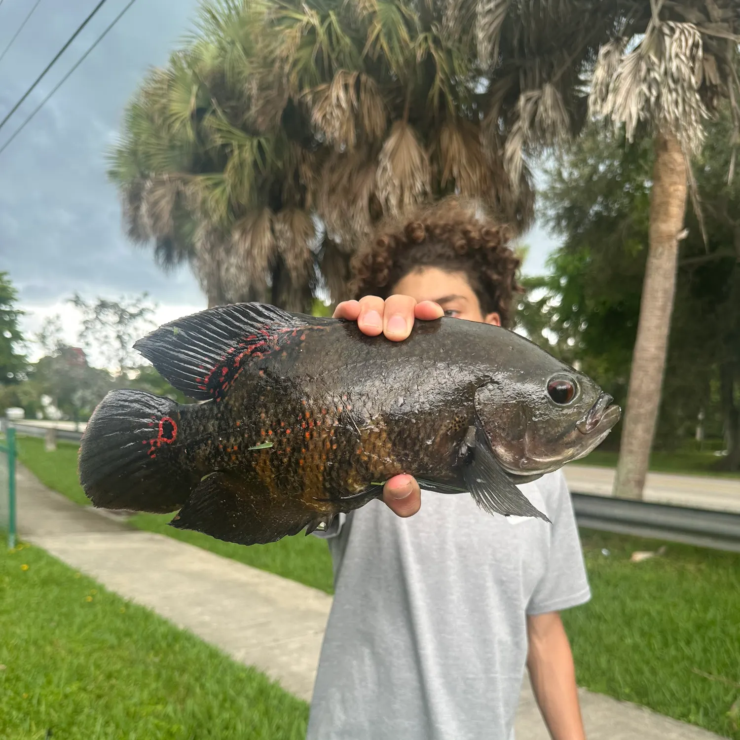 Oscar caught on Fishbrain