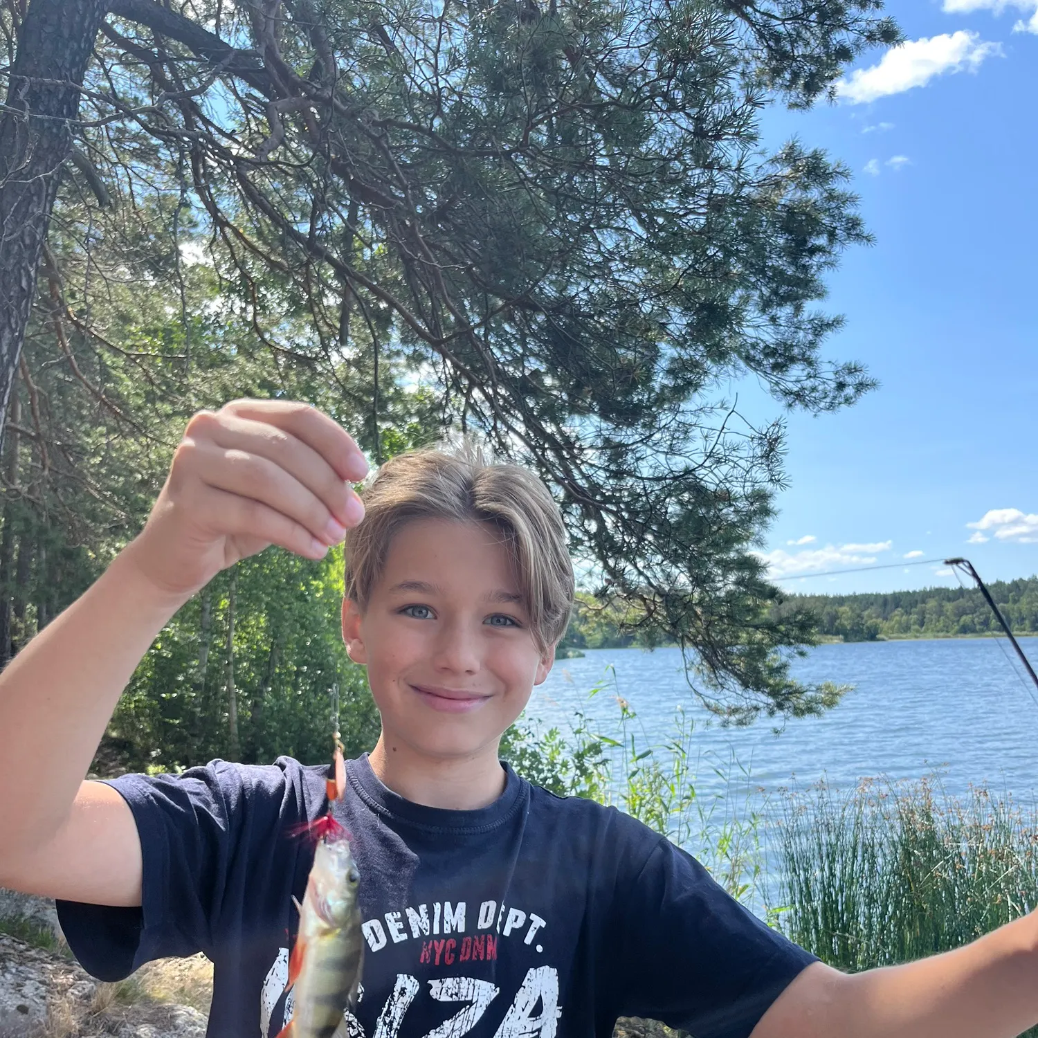 European perch caught on Fishbrain