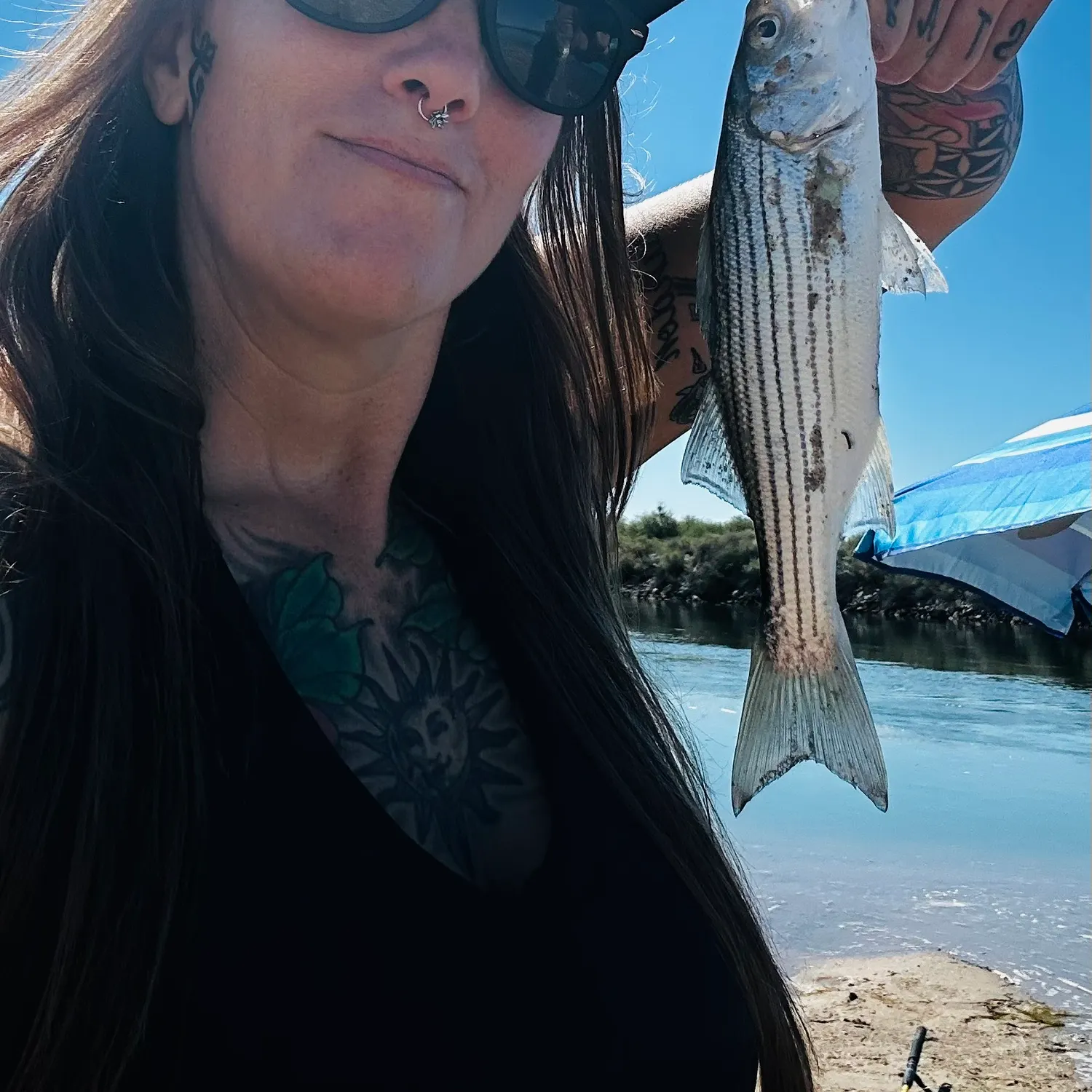 Striped bass caught on Fishbrain