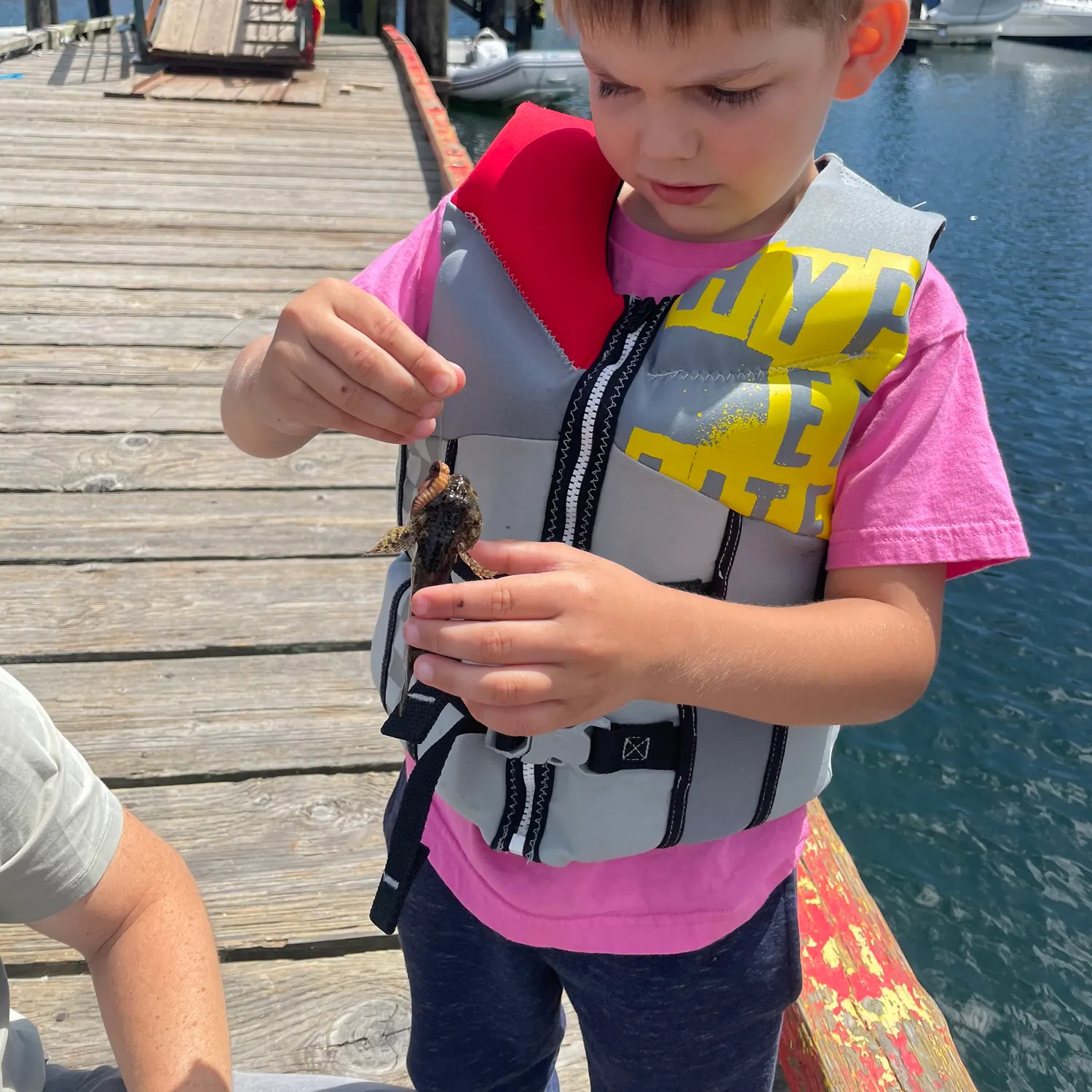 The most recent Cabezon catches on Fishbrain