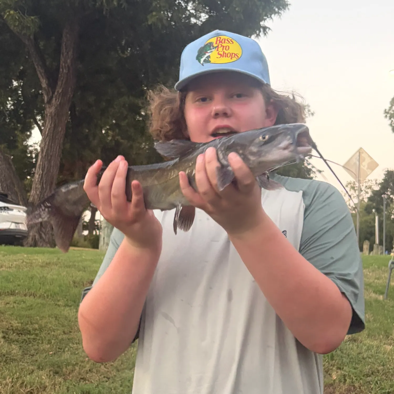Channel catfish caught on Fishbrain