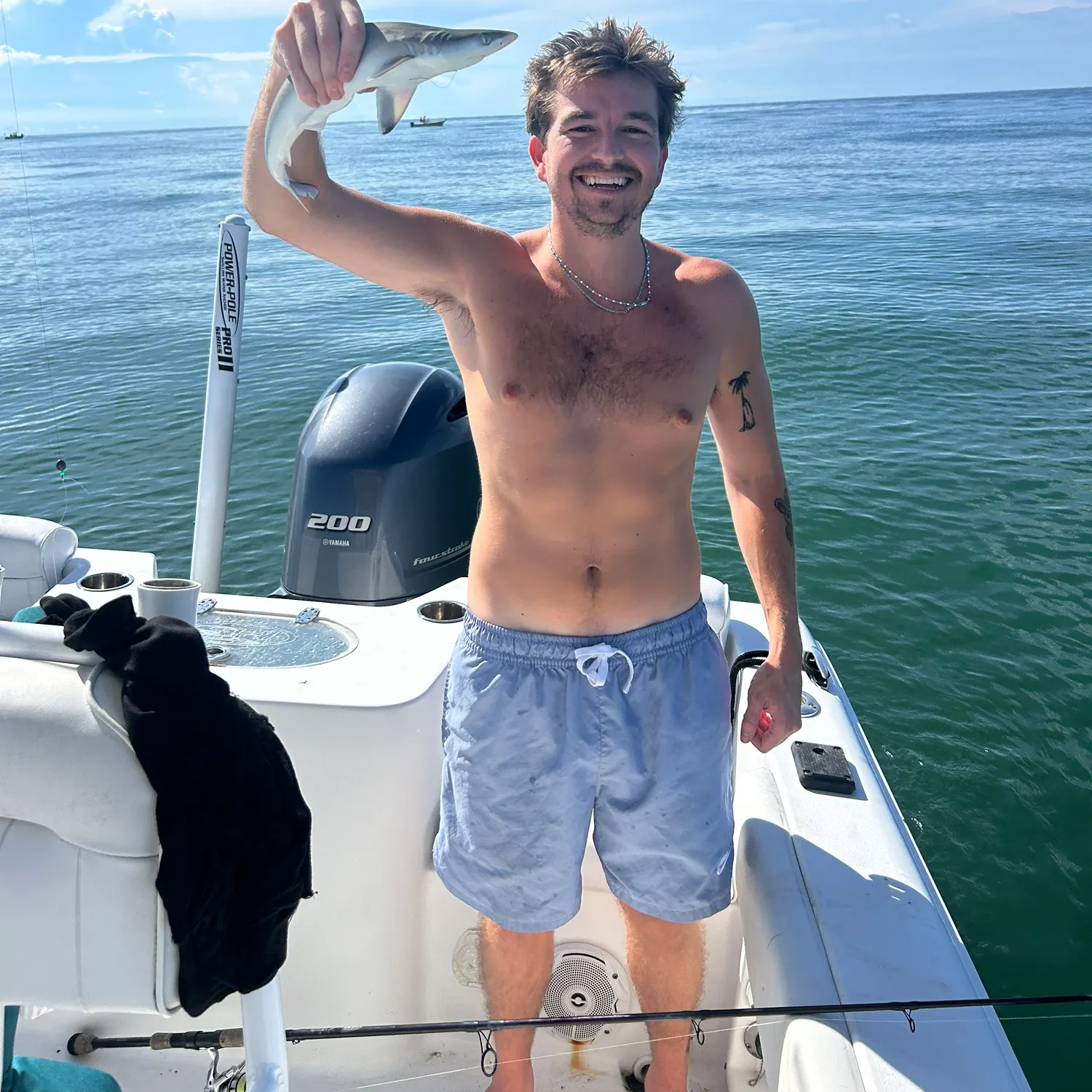 Dusky smooth-hound caught on Fishbrain