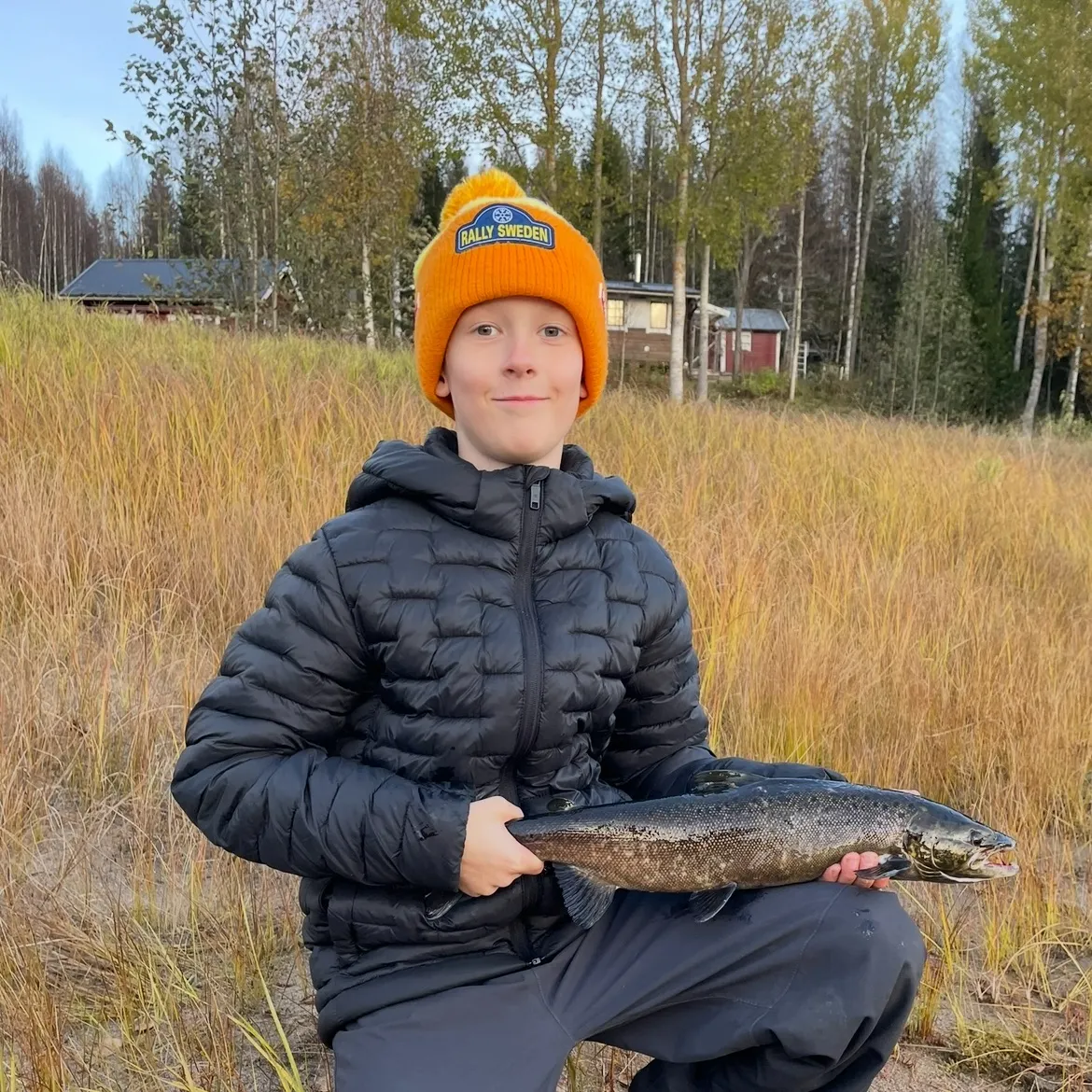 The most recent Atlantic salmon catches on Fishbrain