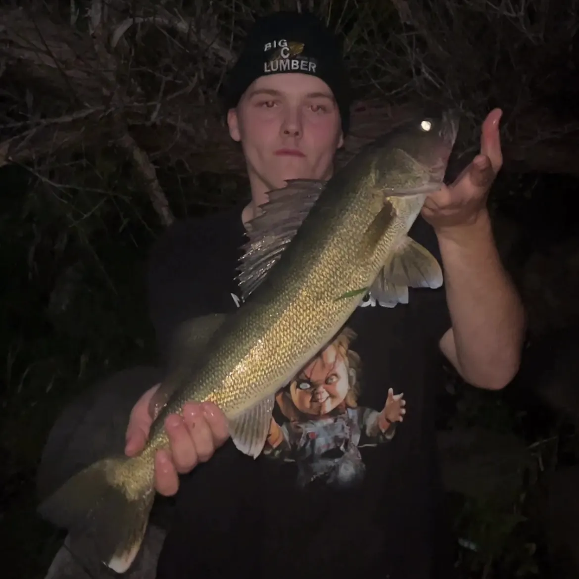 Walleye caught on Fishbrain