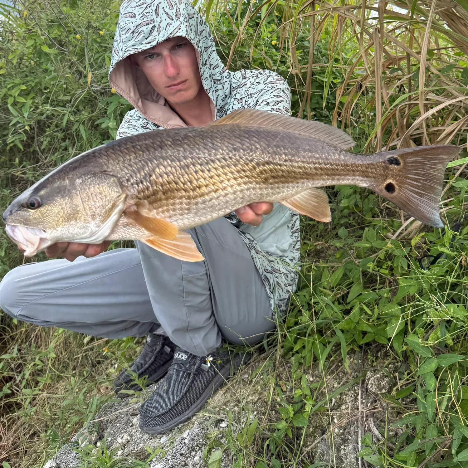 Red drum caught on Fishbrain