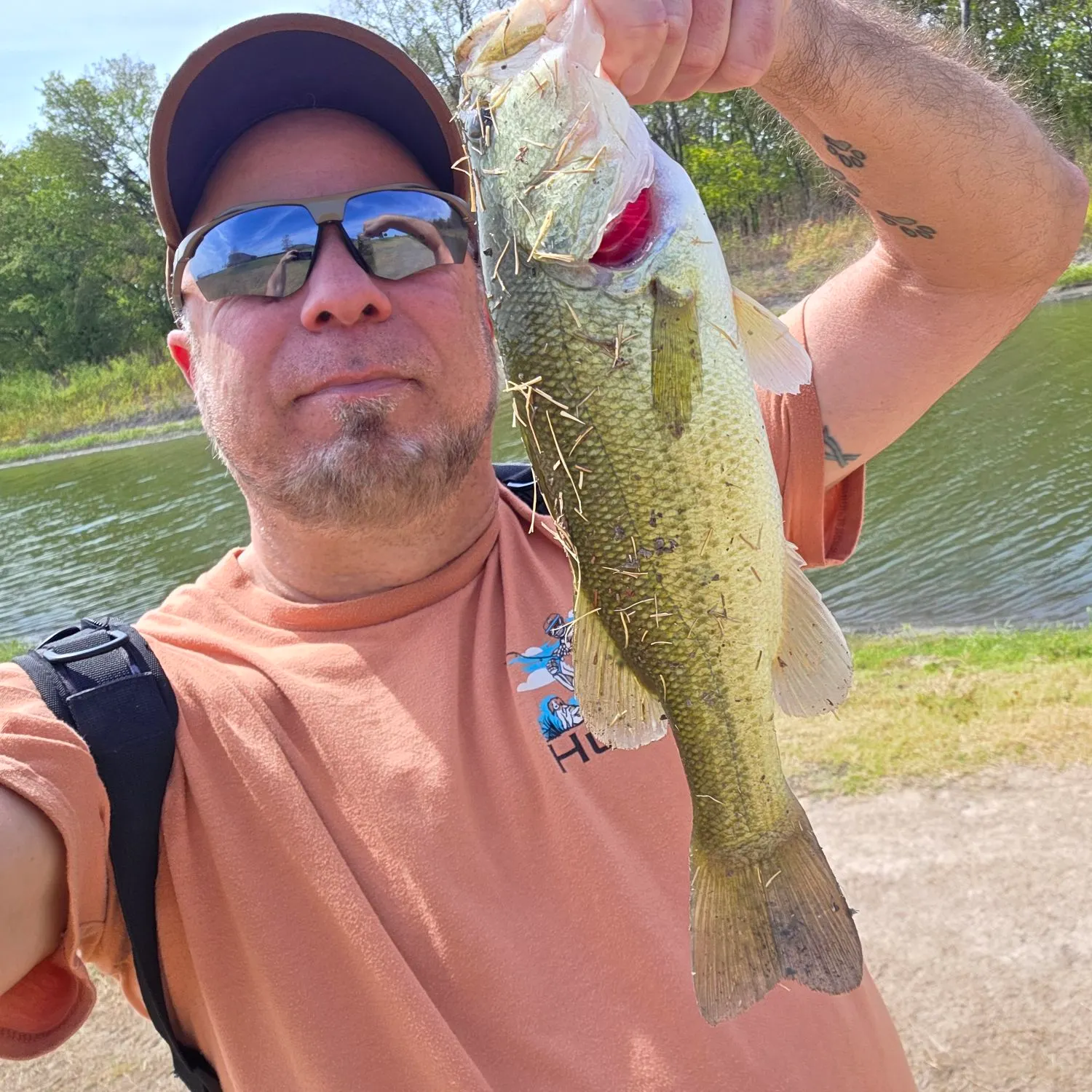 Largemouth bass caught on Fishbrain