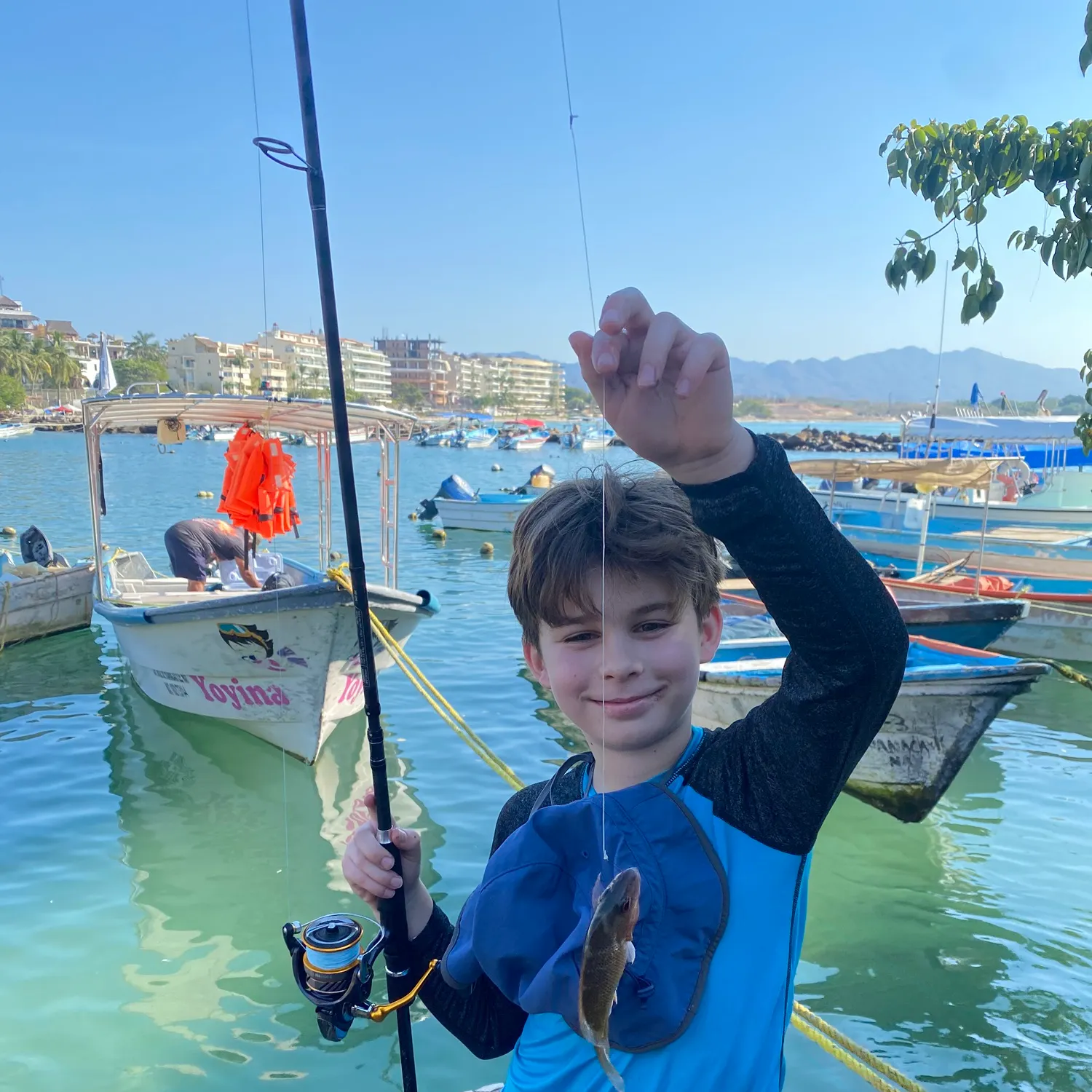 The most recent Mangrove snapper catches on Fishbrain