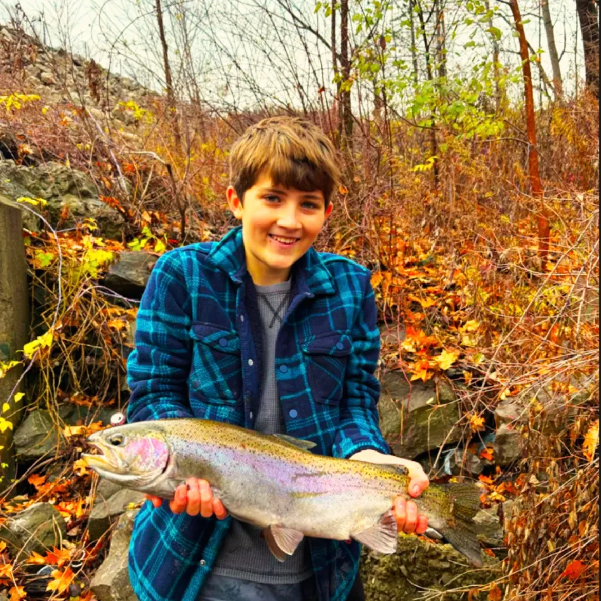 The most recent Steelhead catches on Fishbrain