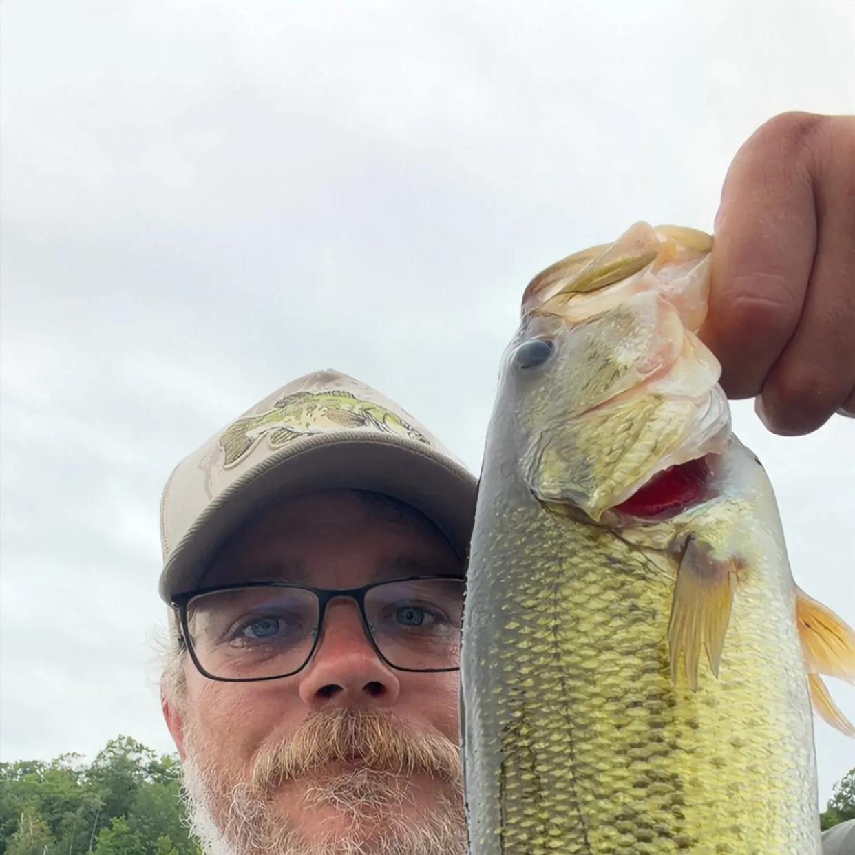 Largemouth bass caught on Fishbrain