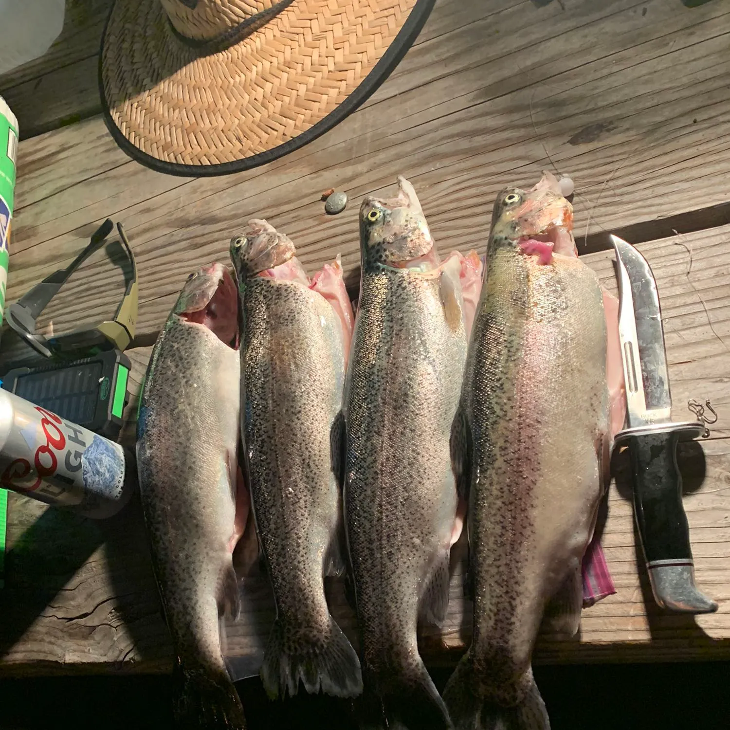 recently logged catches