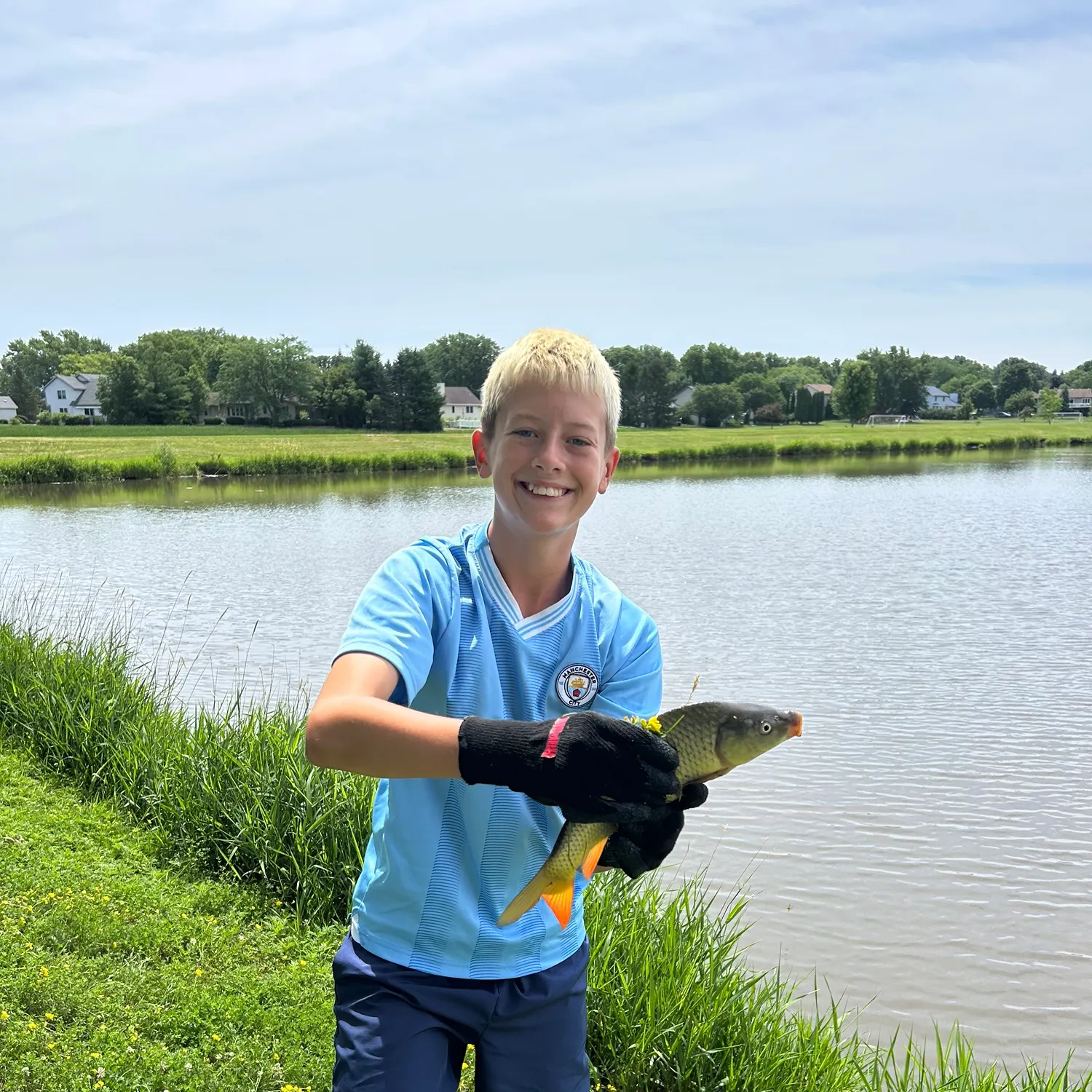 Common carp caught on Fishbrain