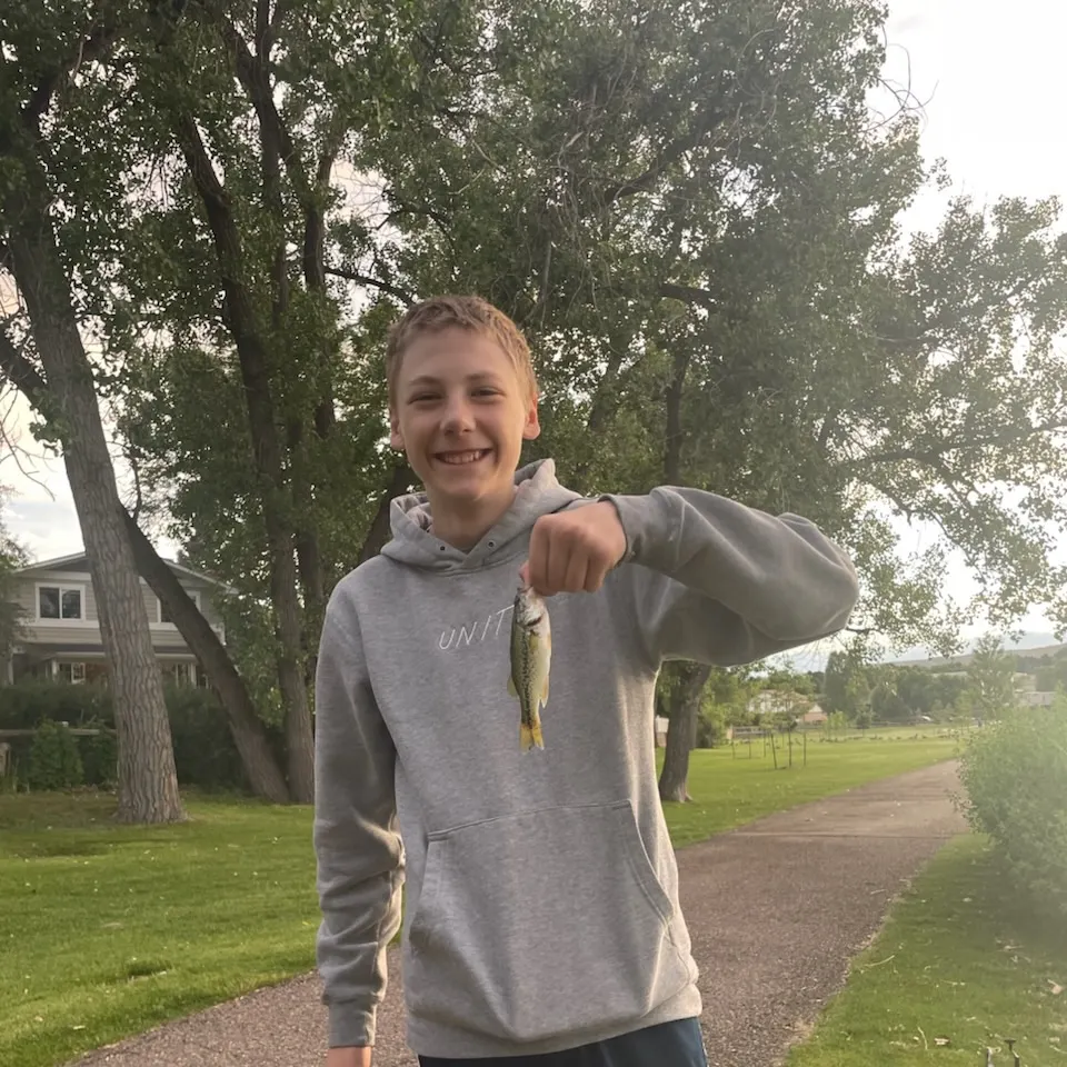 The most recent Smallmouth bass catches on Fishbrain