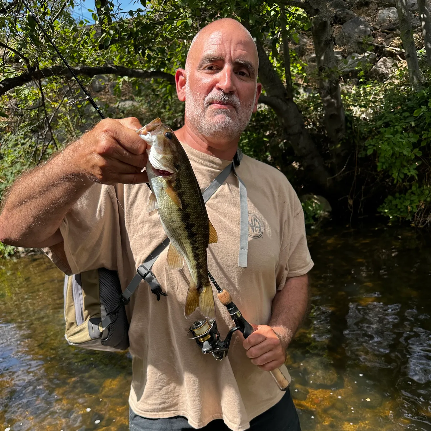Spotted bass caught on Fishbrain