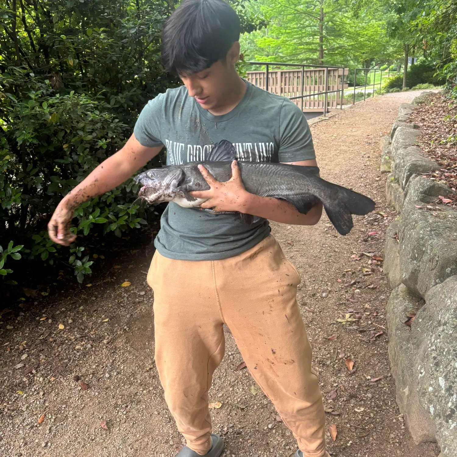 catch