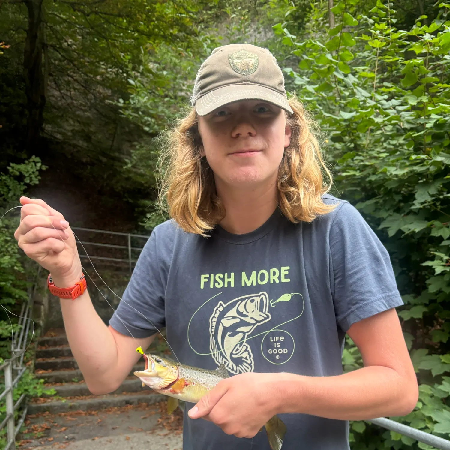 Brown trout caught on Fishbrain