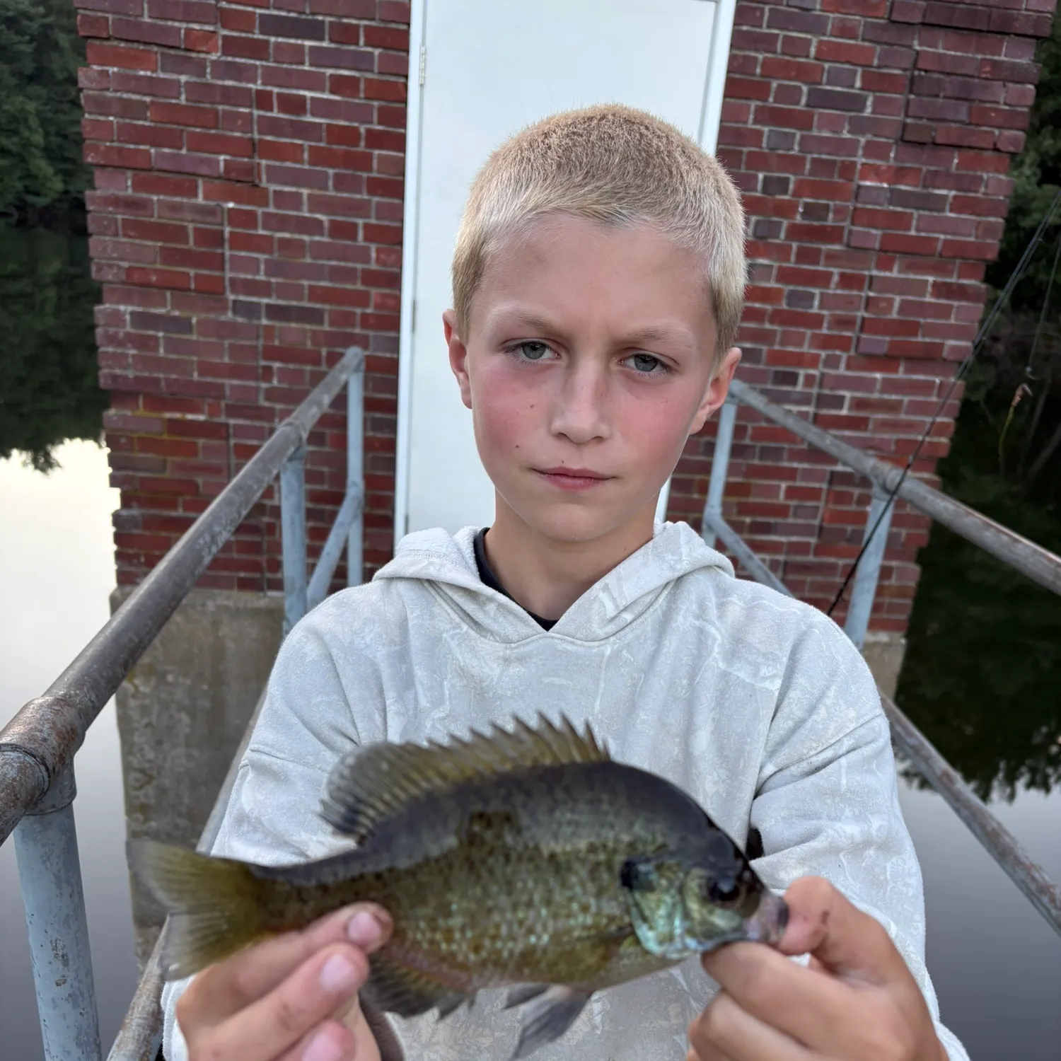 Bluegill caught on Fishbrain