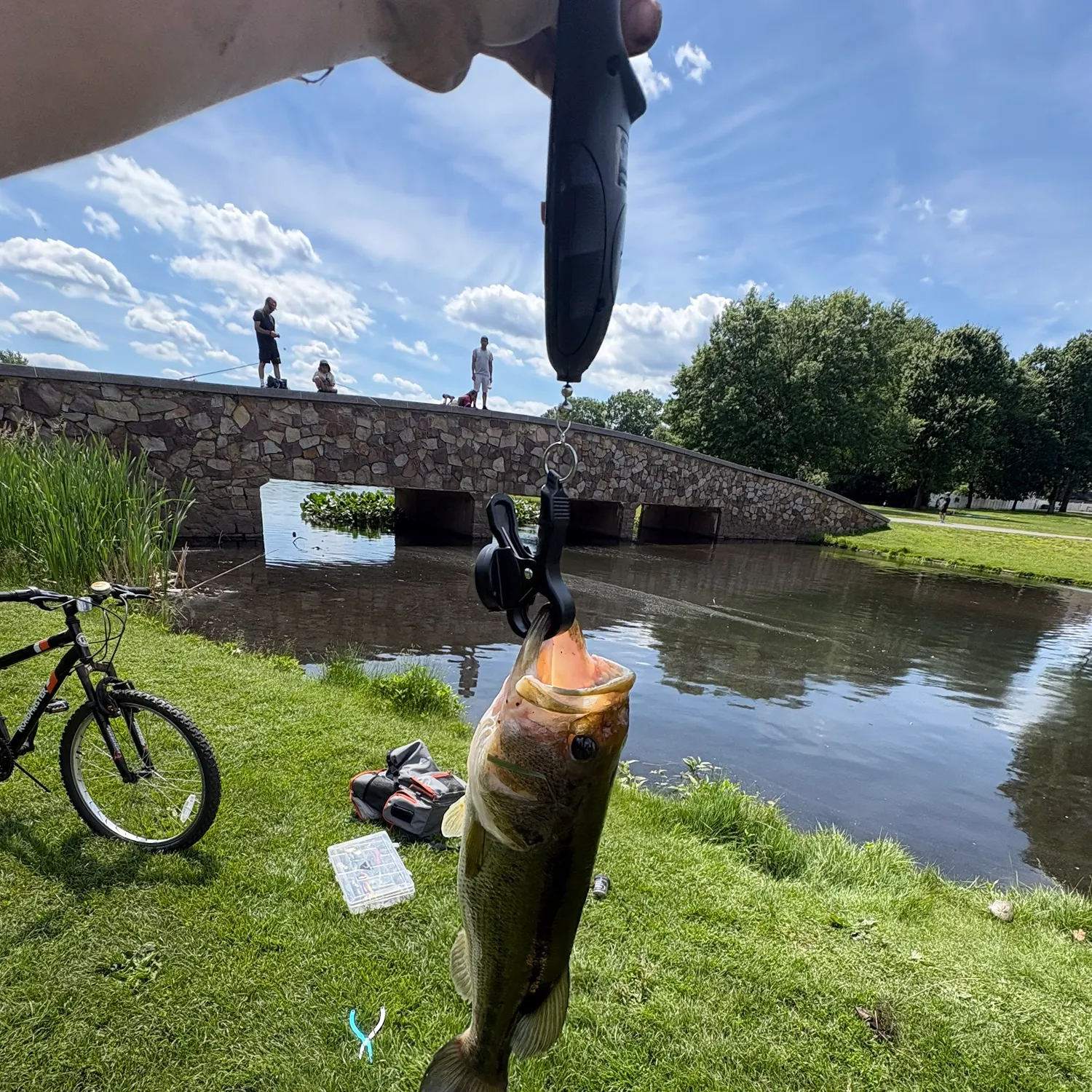 catch