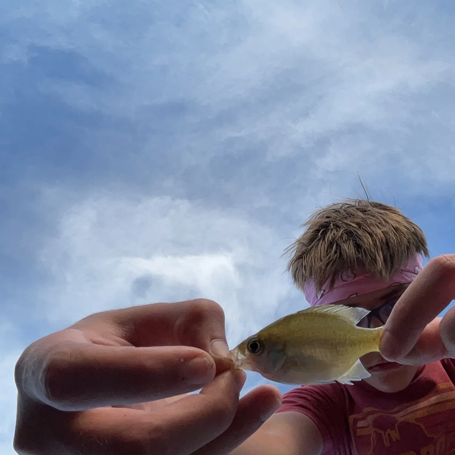 Bluegill caught on Fishbrain