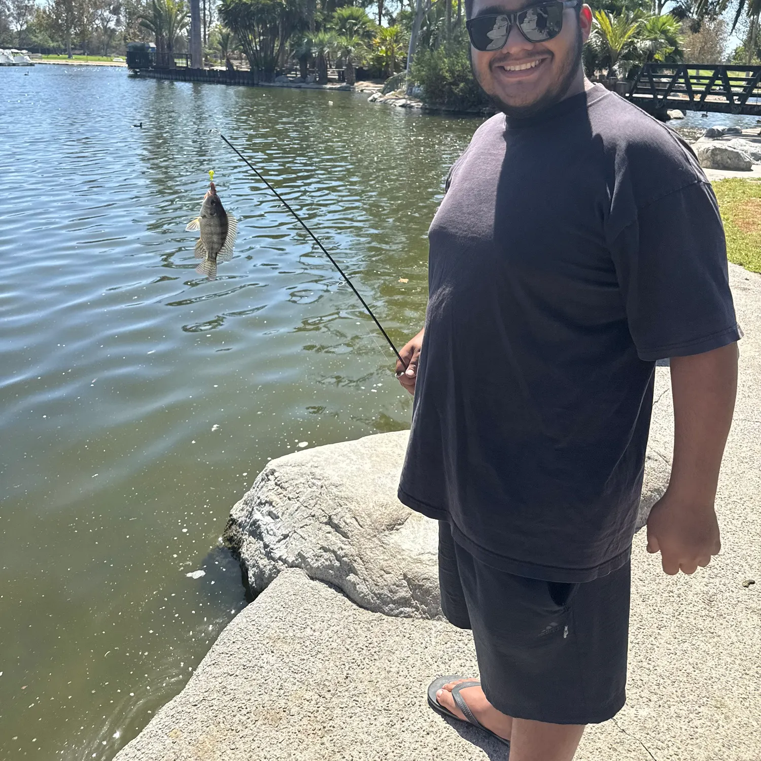 Bluegill caught on Fishbrain