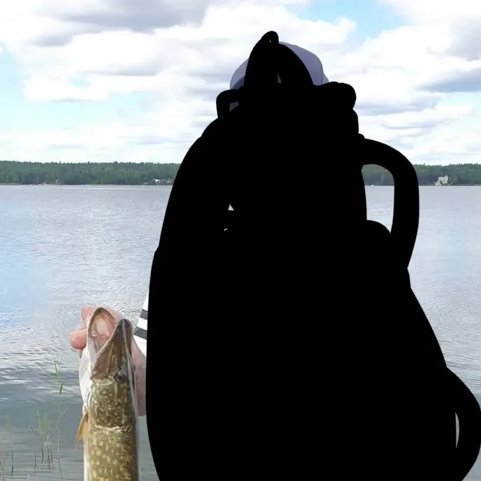 Northern pike caught on Fishbrain