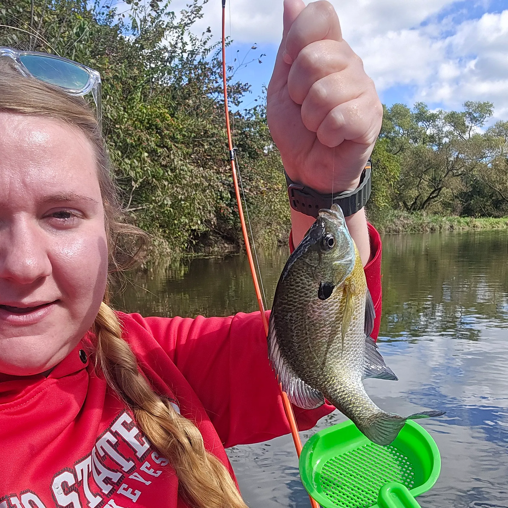 Bluegill caught on Fishbrain