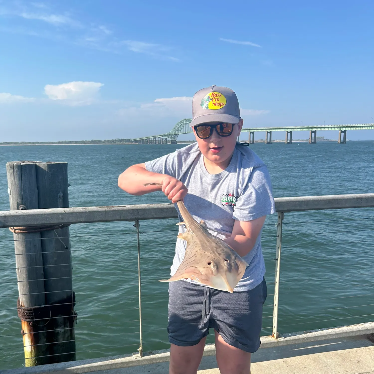 The most recent Clearnose skate catches on Fishbrain