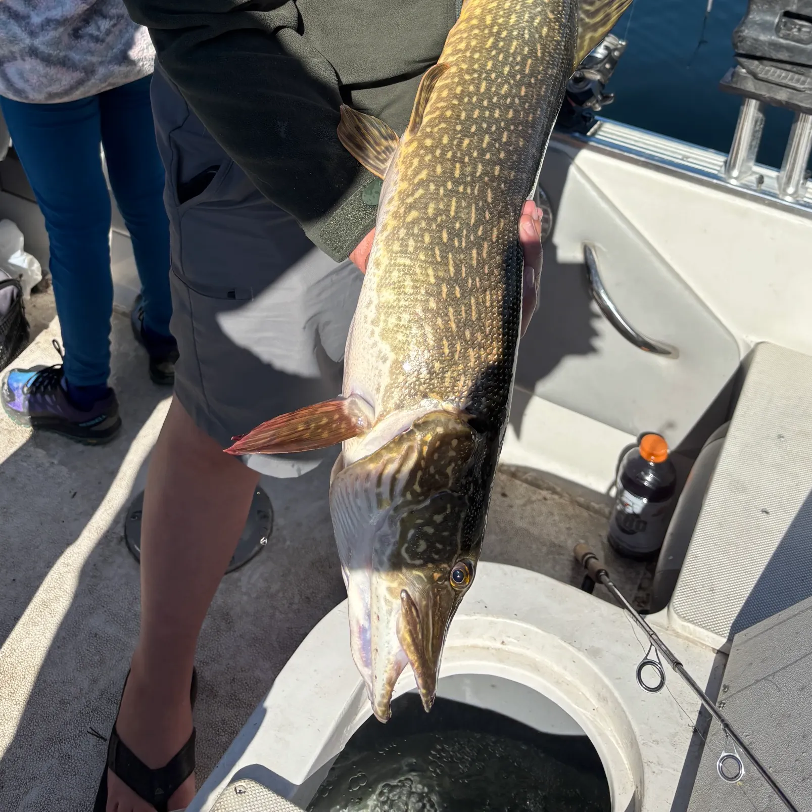 catch