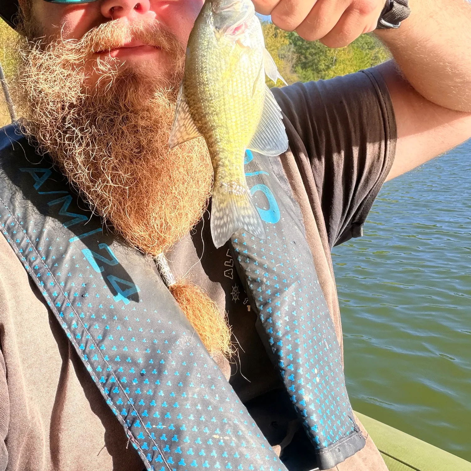 White crappie caught on Fishbrain