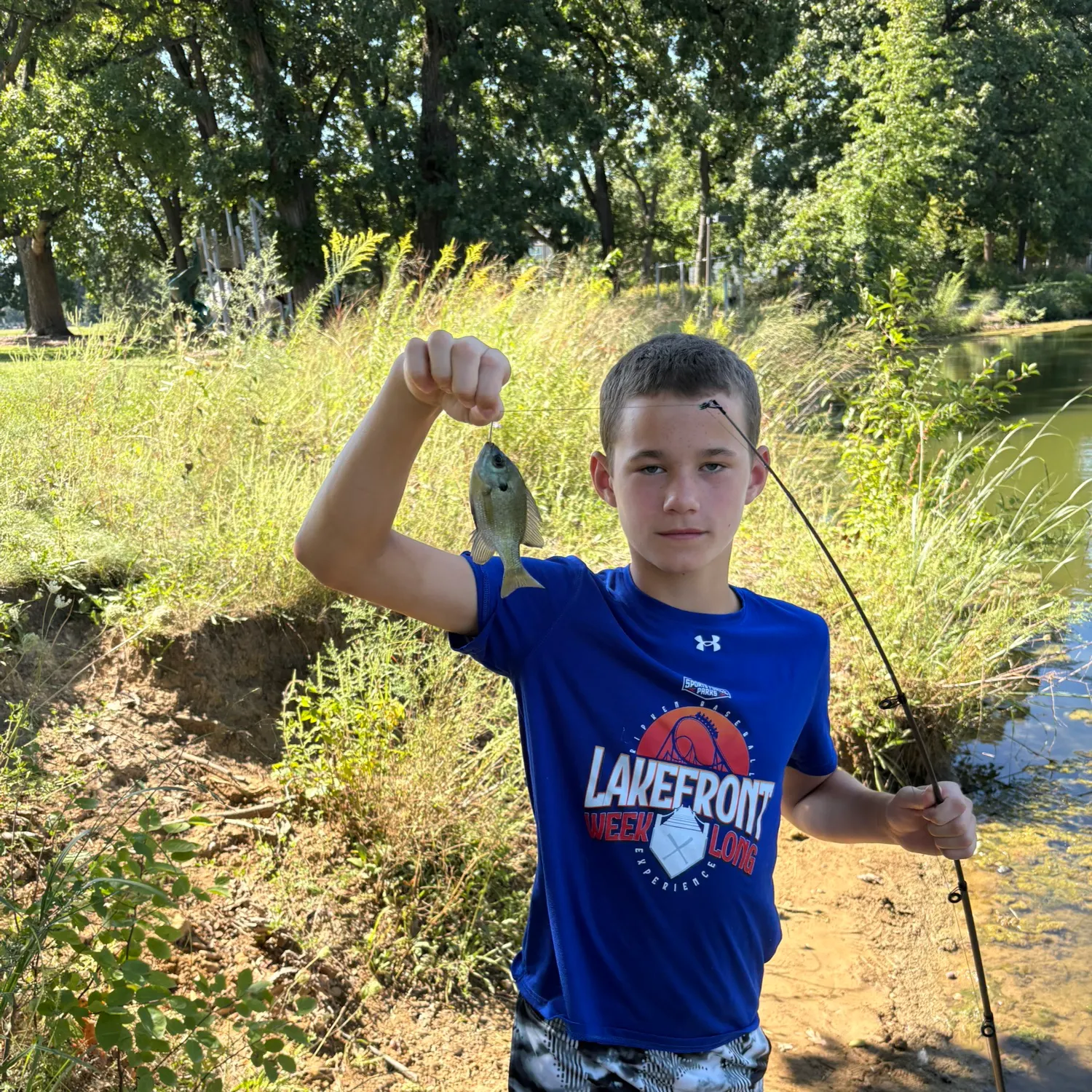 Bluegill caught on Fishbrain