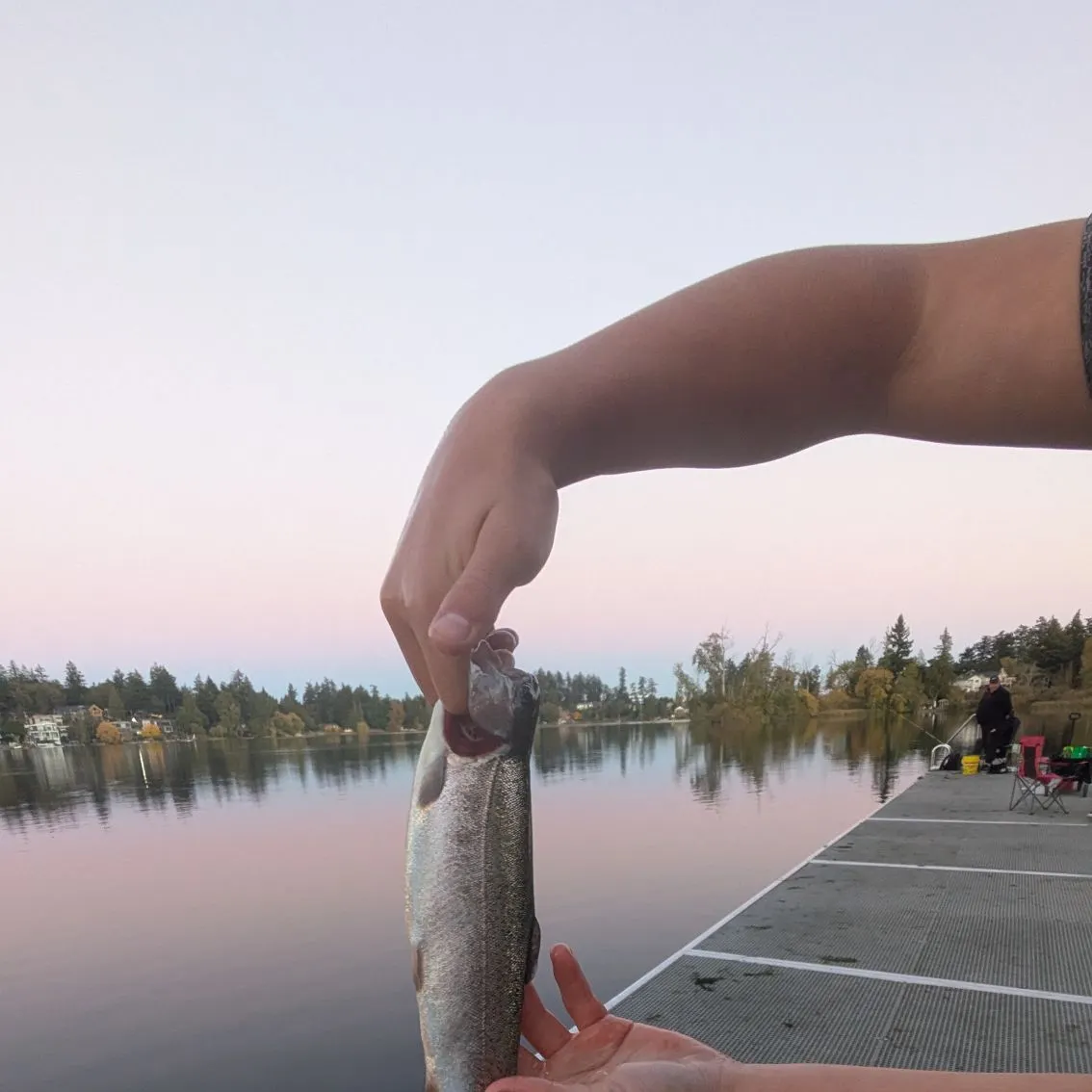 Rainbow trout caught on Fishbrain