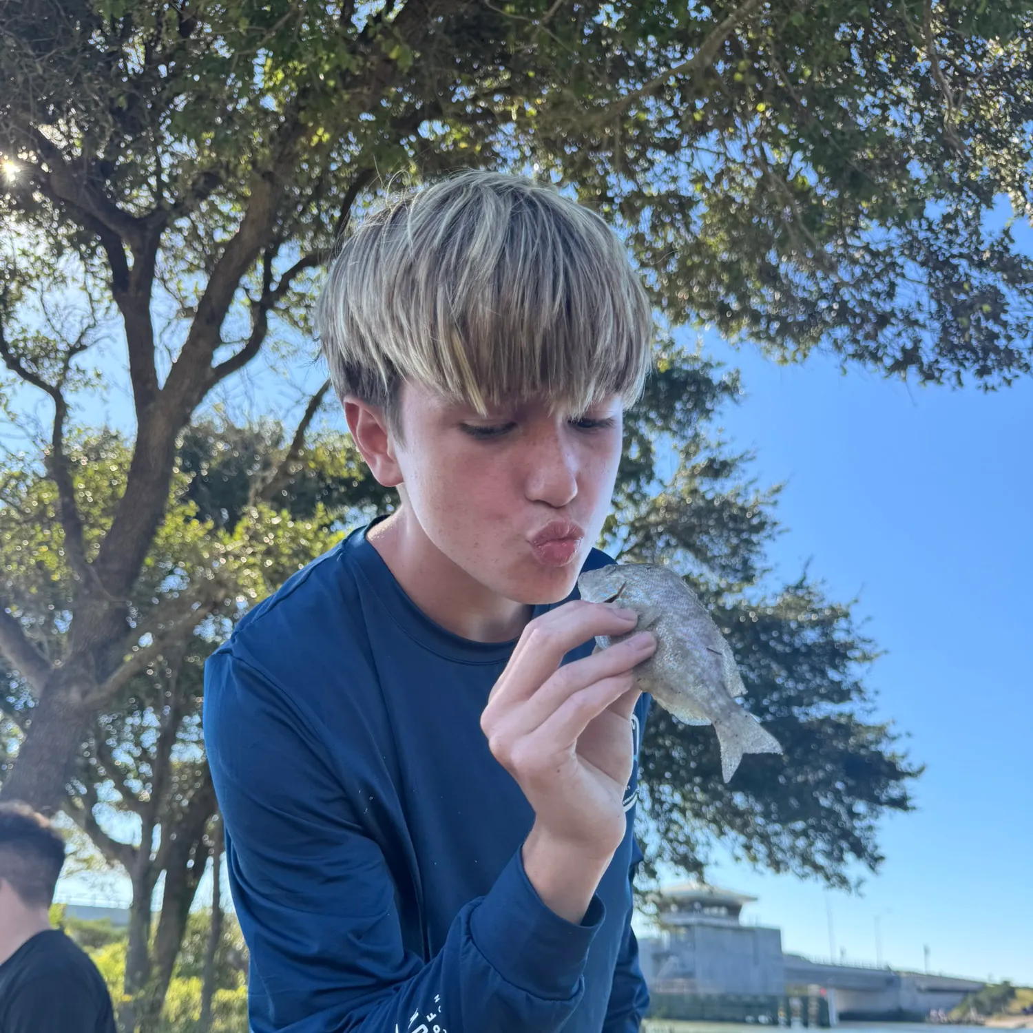 Pigfish caught on Fishbrain
