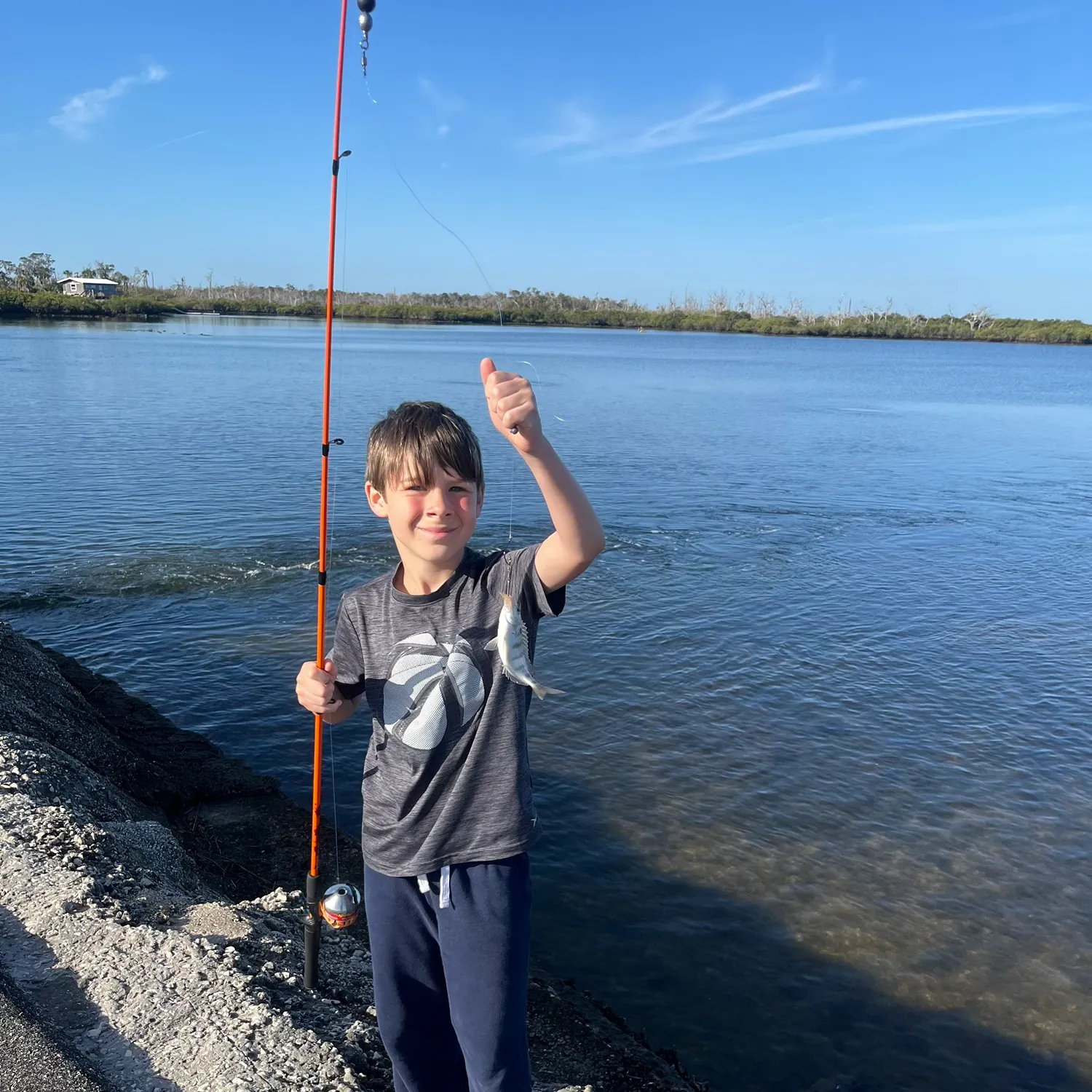 The most recent Sooty grunter catches on Fishbrain