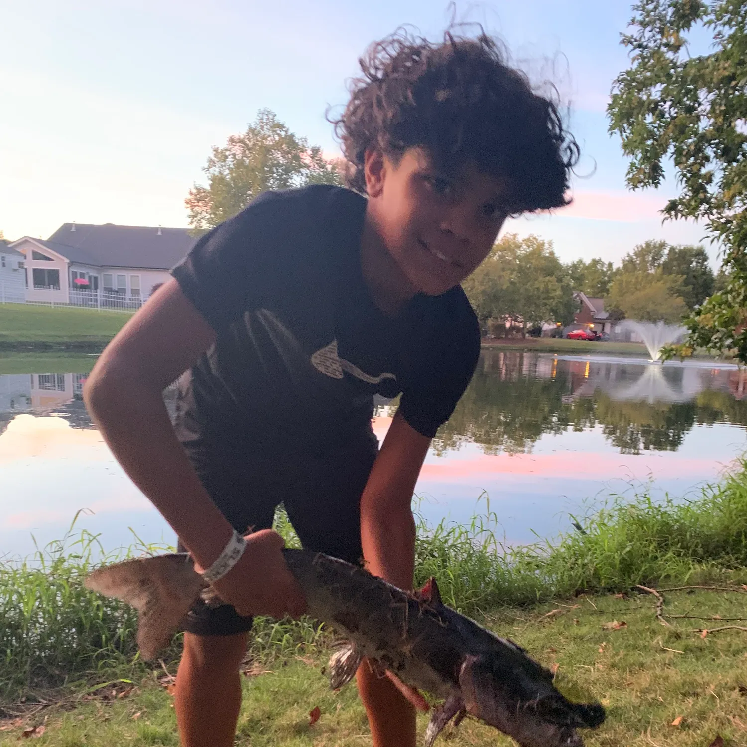 Channel catfish caught on Fishbrain