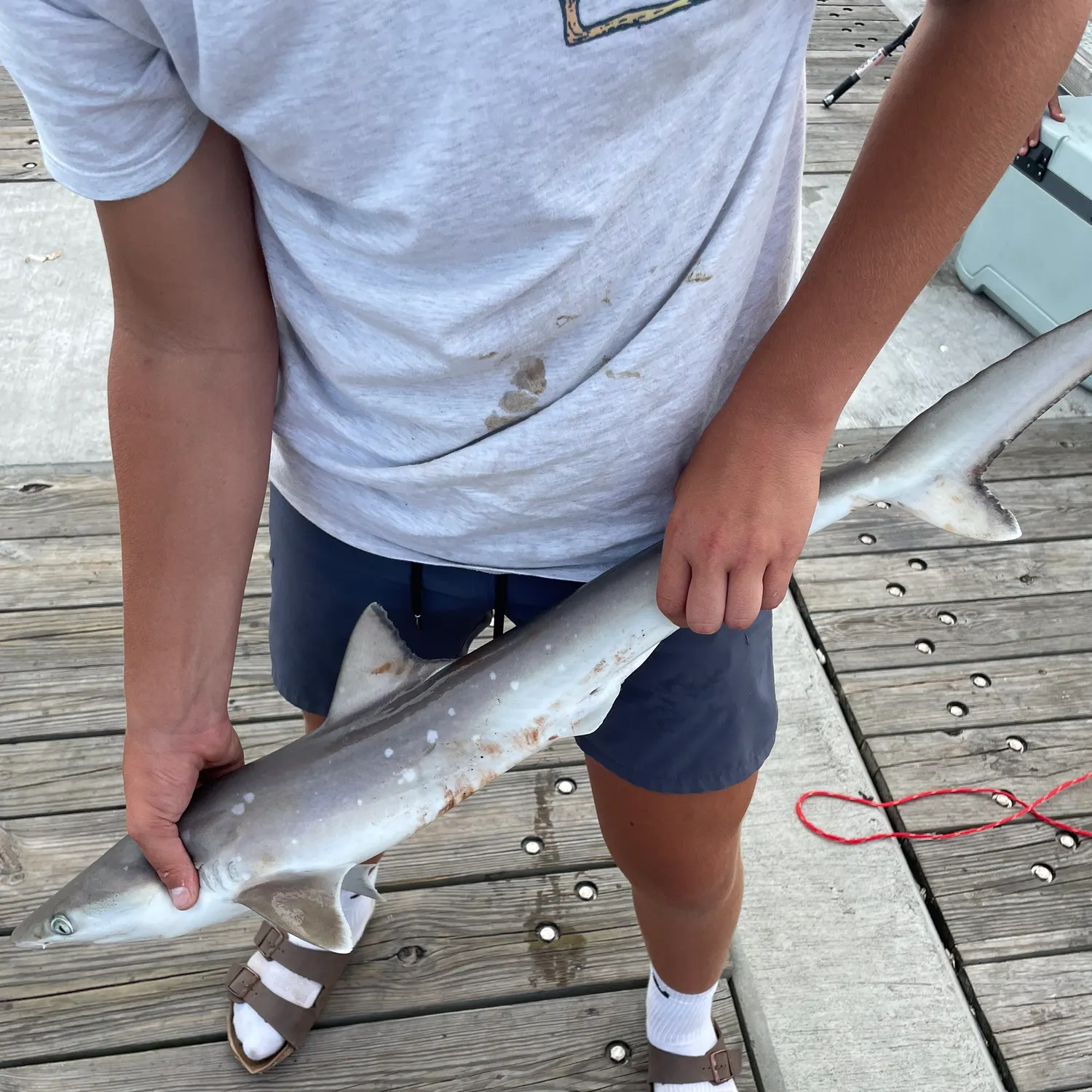 most liked catch image