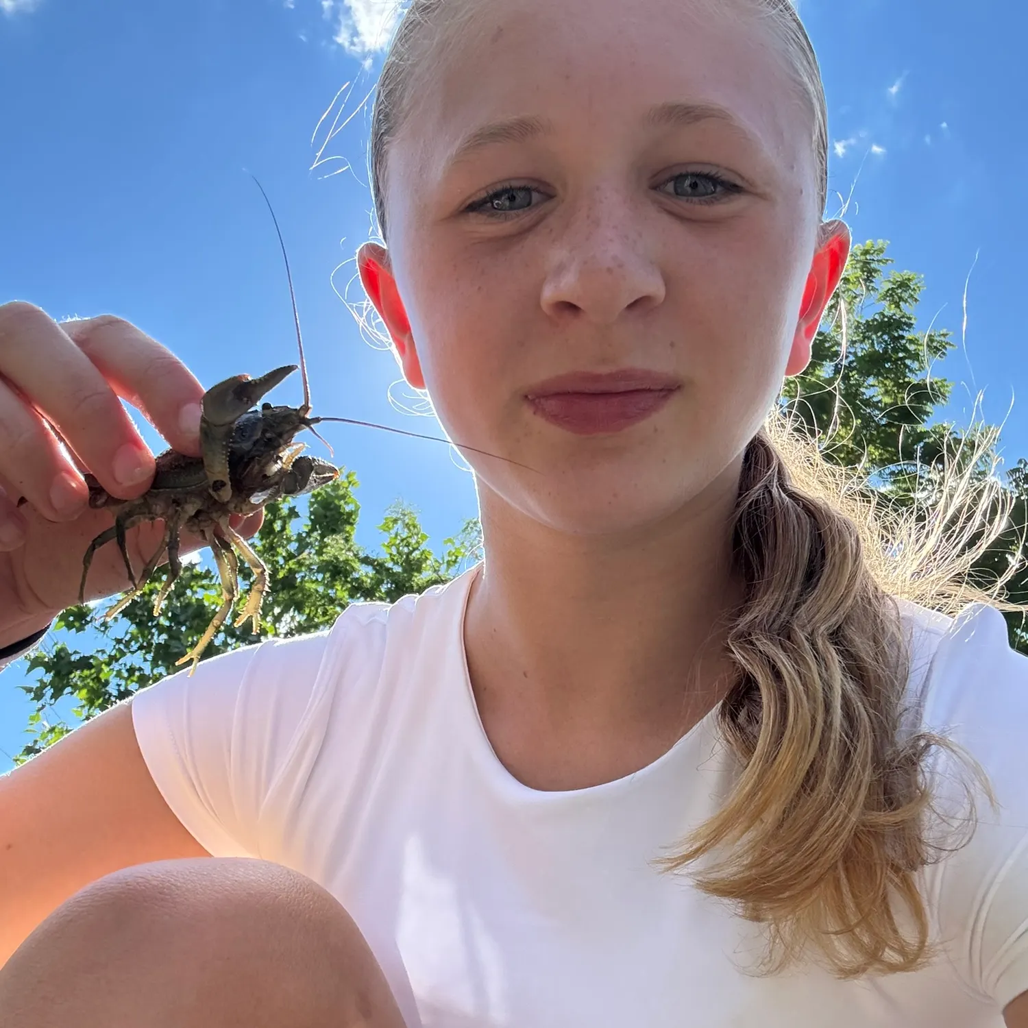 The most recent Virile crayfish catches on Fishbrain