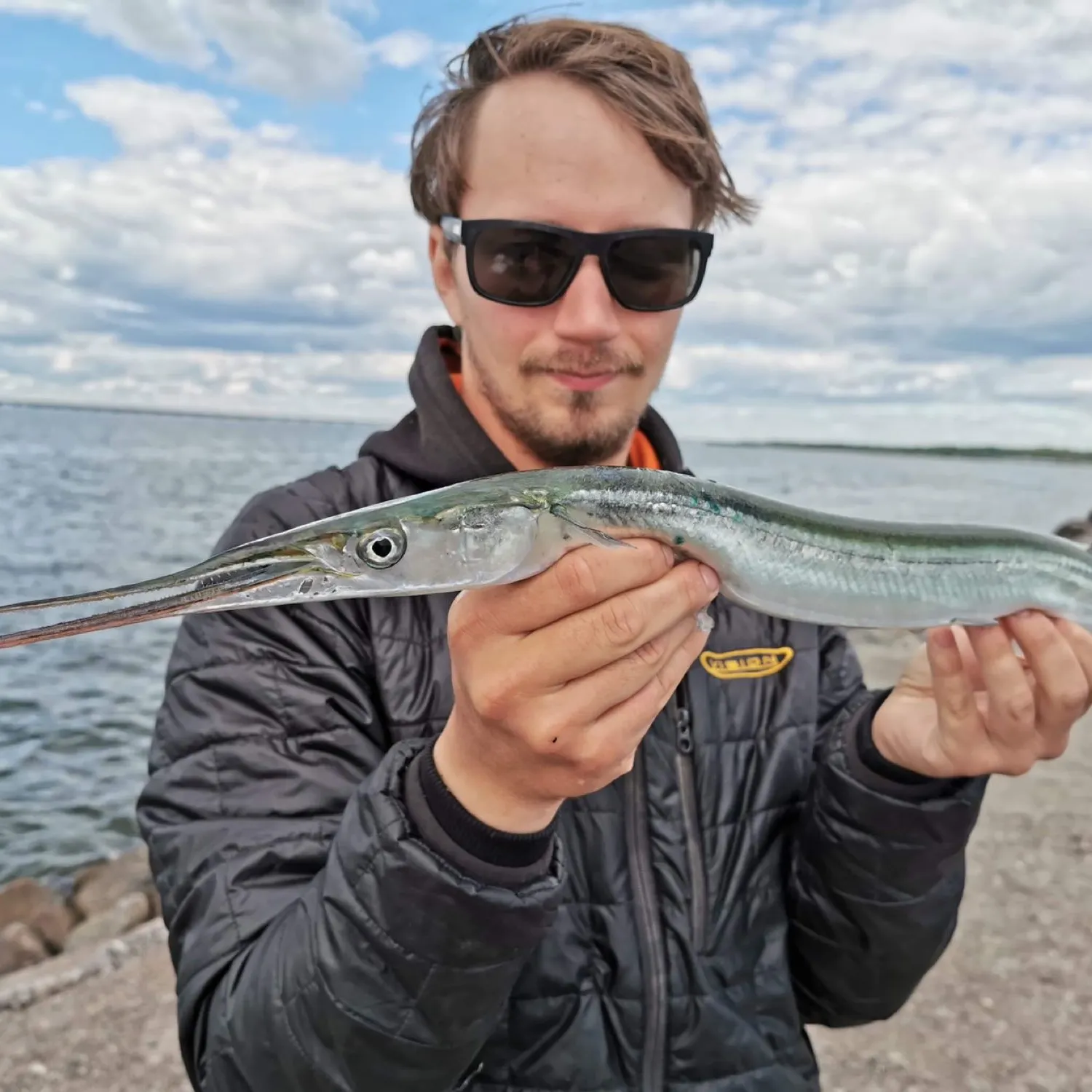 The most popular recent European garfish catch on Fishbrain