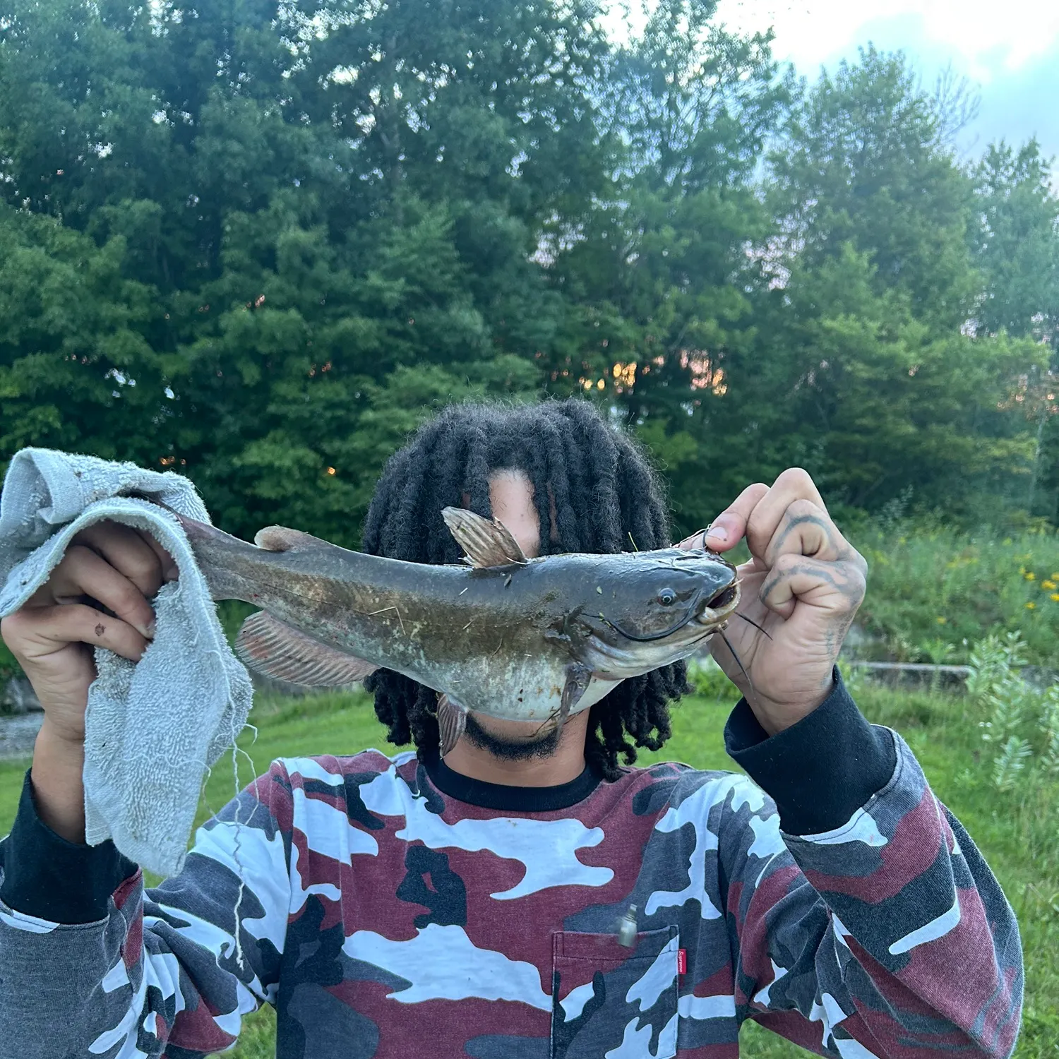 Brown bullhead caught on Fishbrain