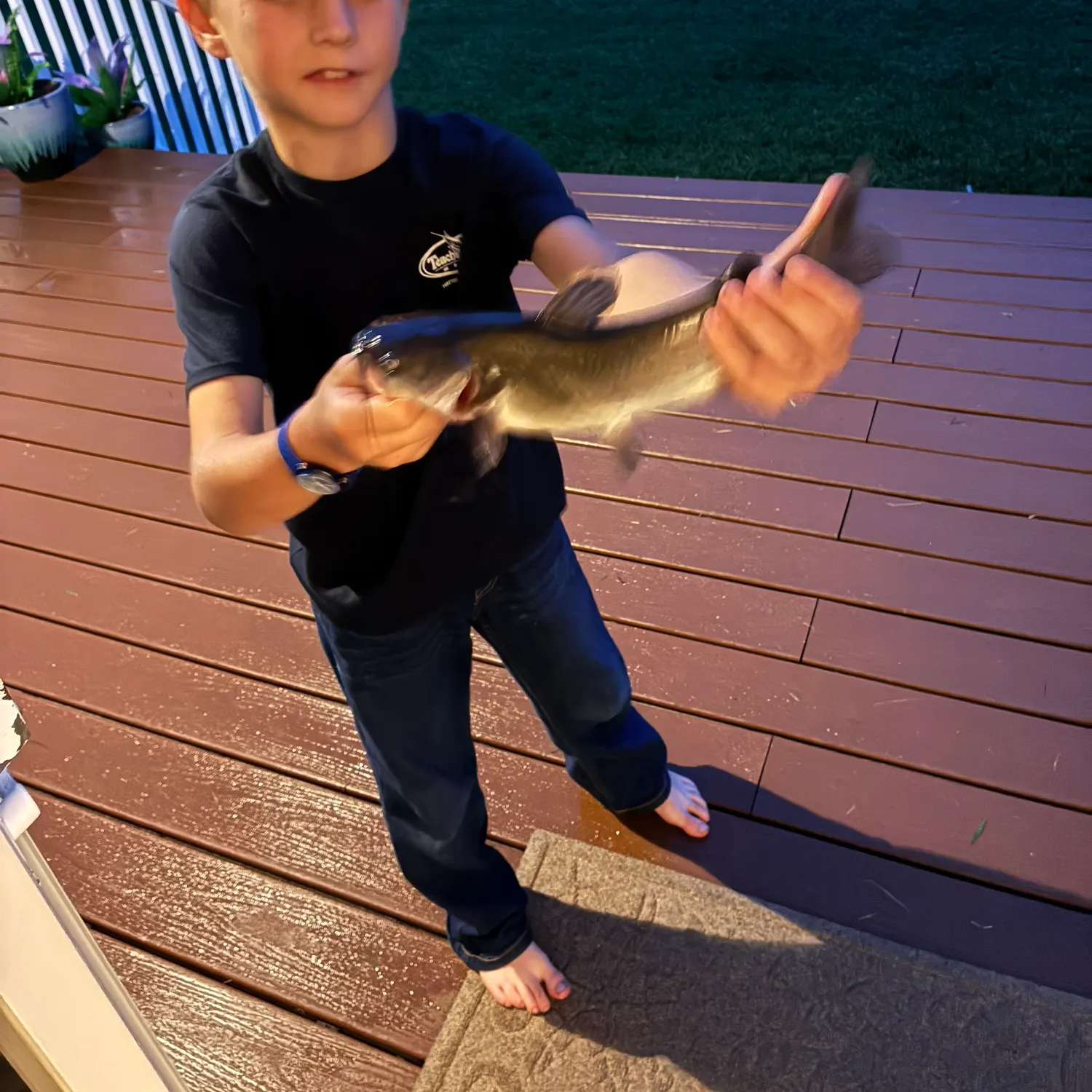Channel catfish caught on Fishbrain