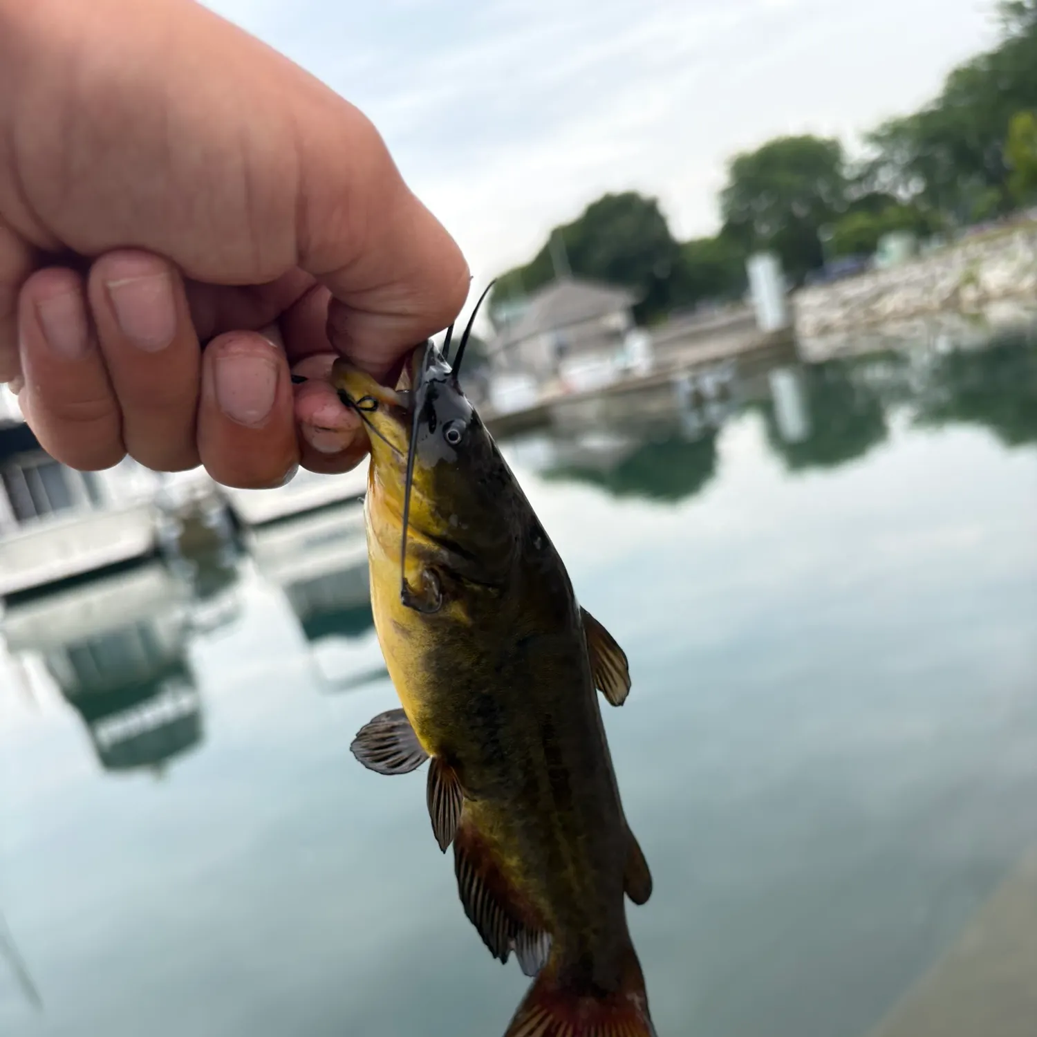 catch