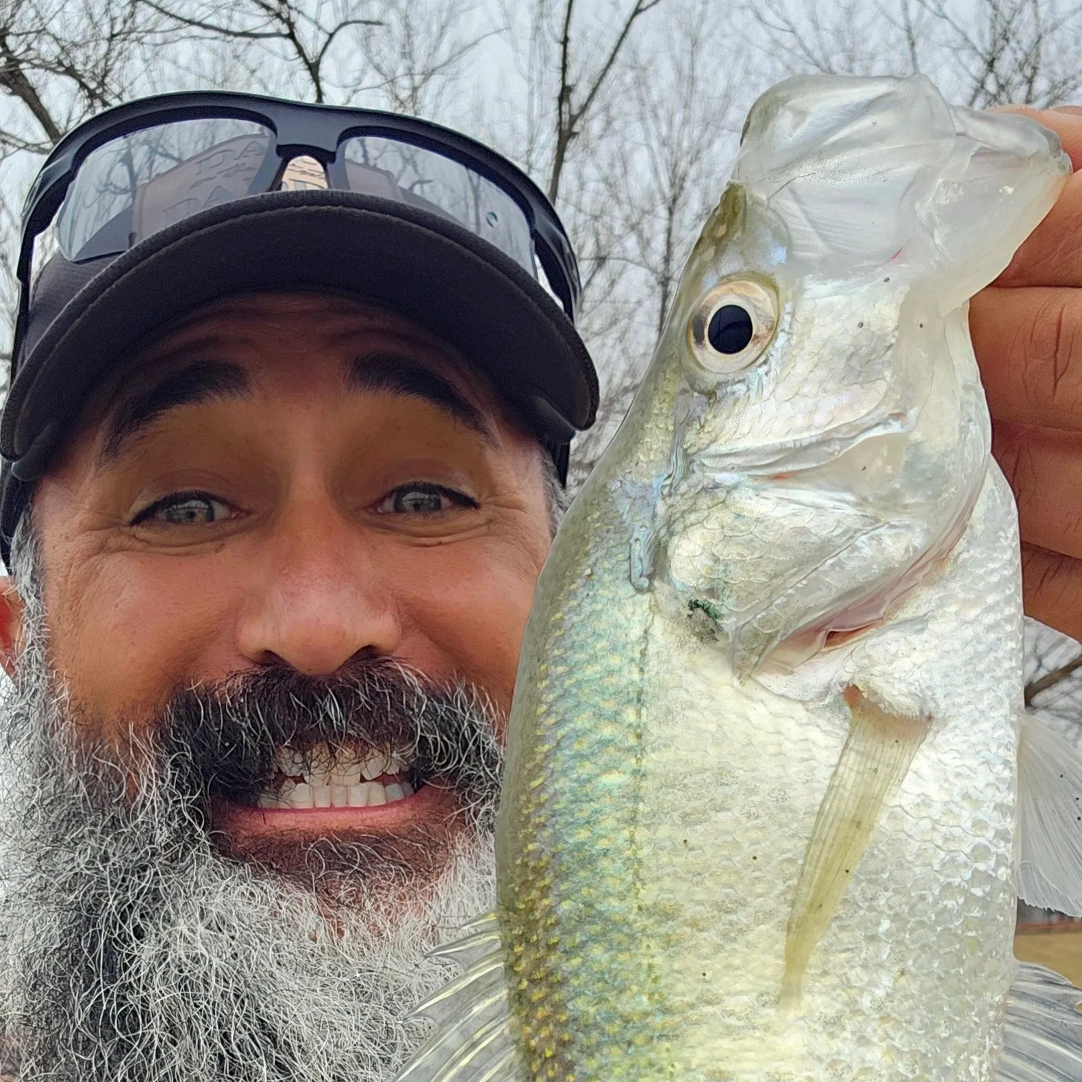The most recent White crappie catches on Fishbrain