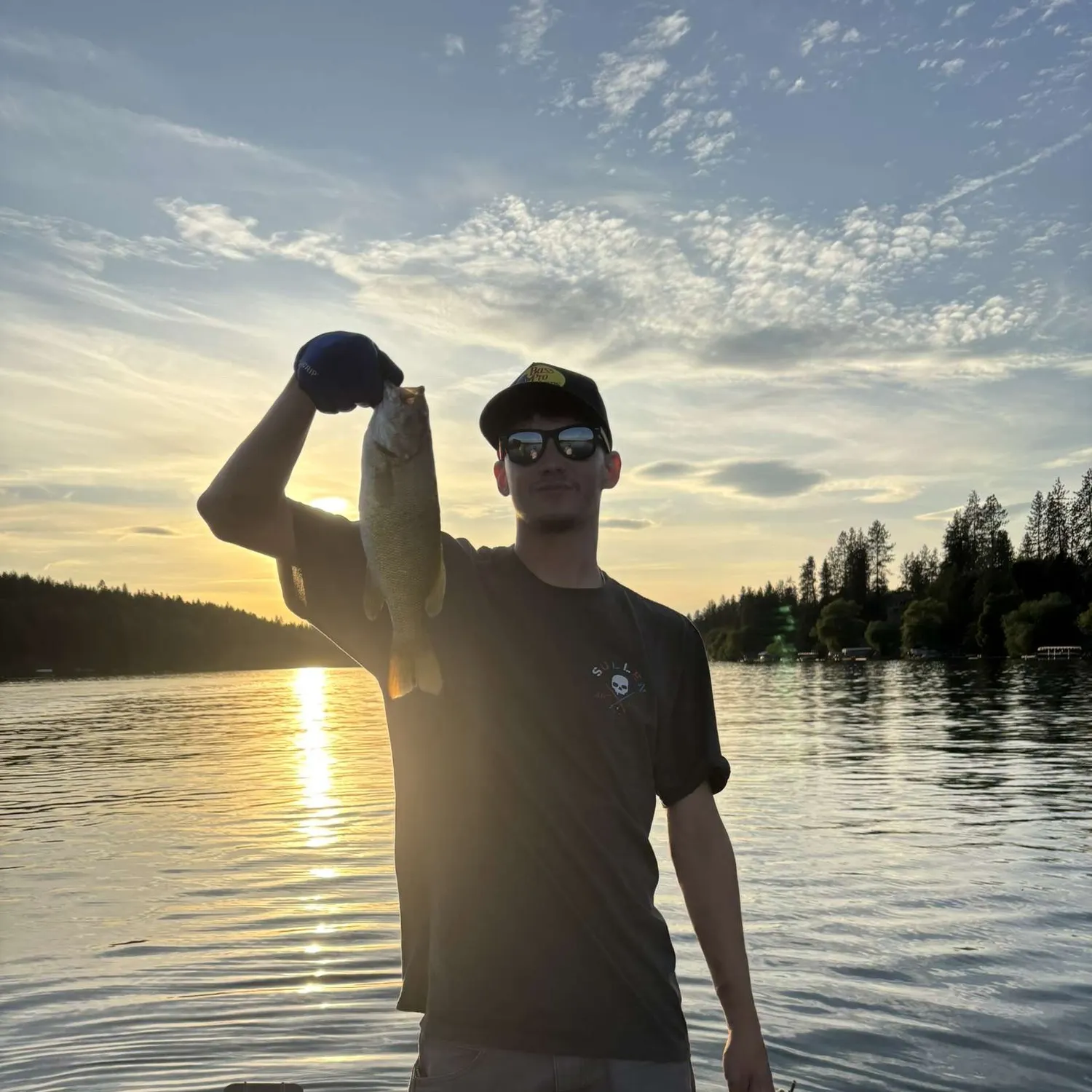 The most recent Smallmouth bass catches on Fishbrain
