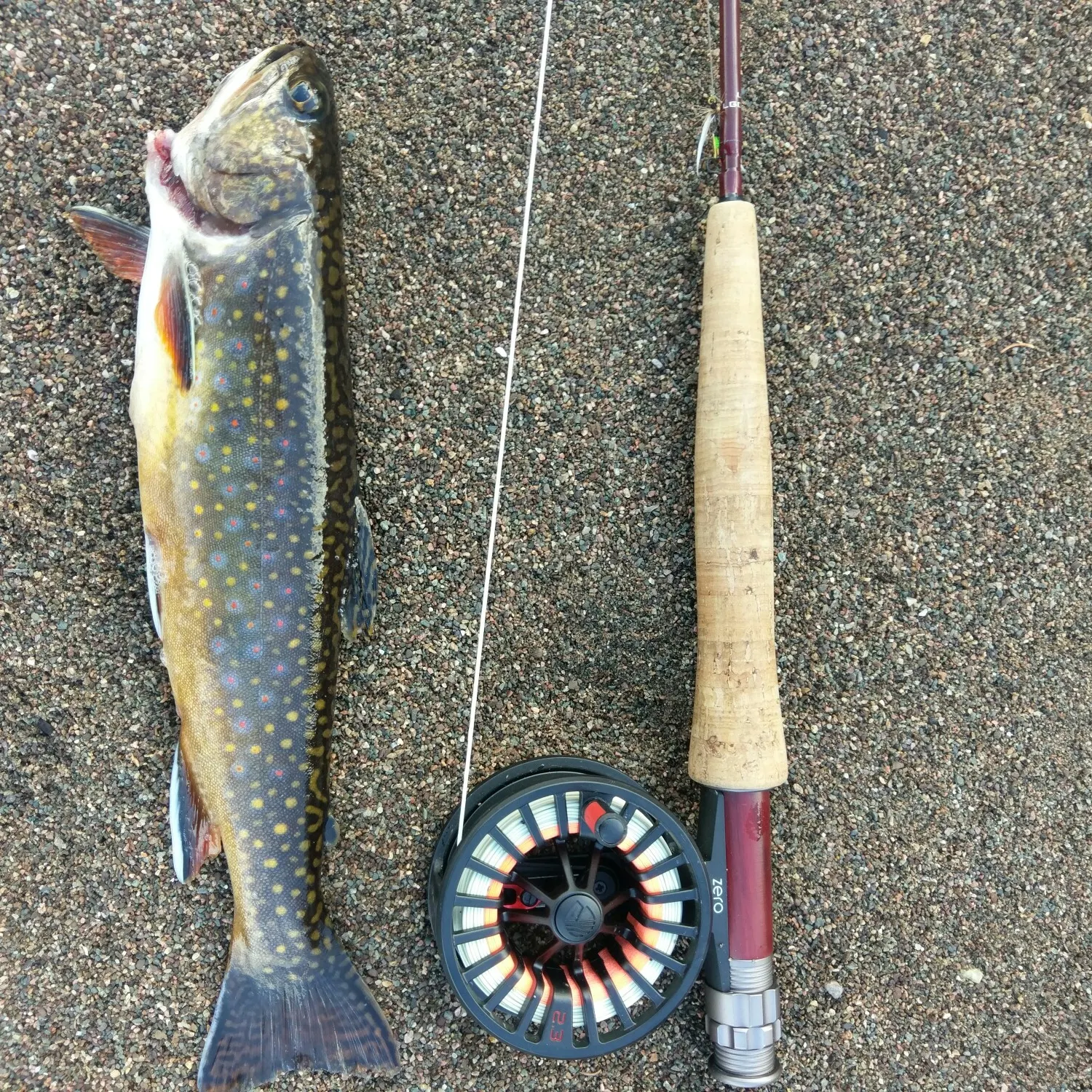 Brook trout caught on Fishbrain