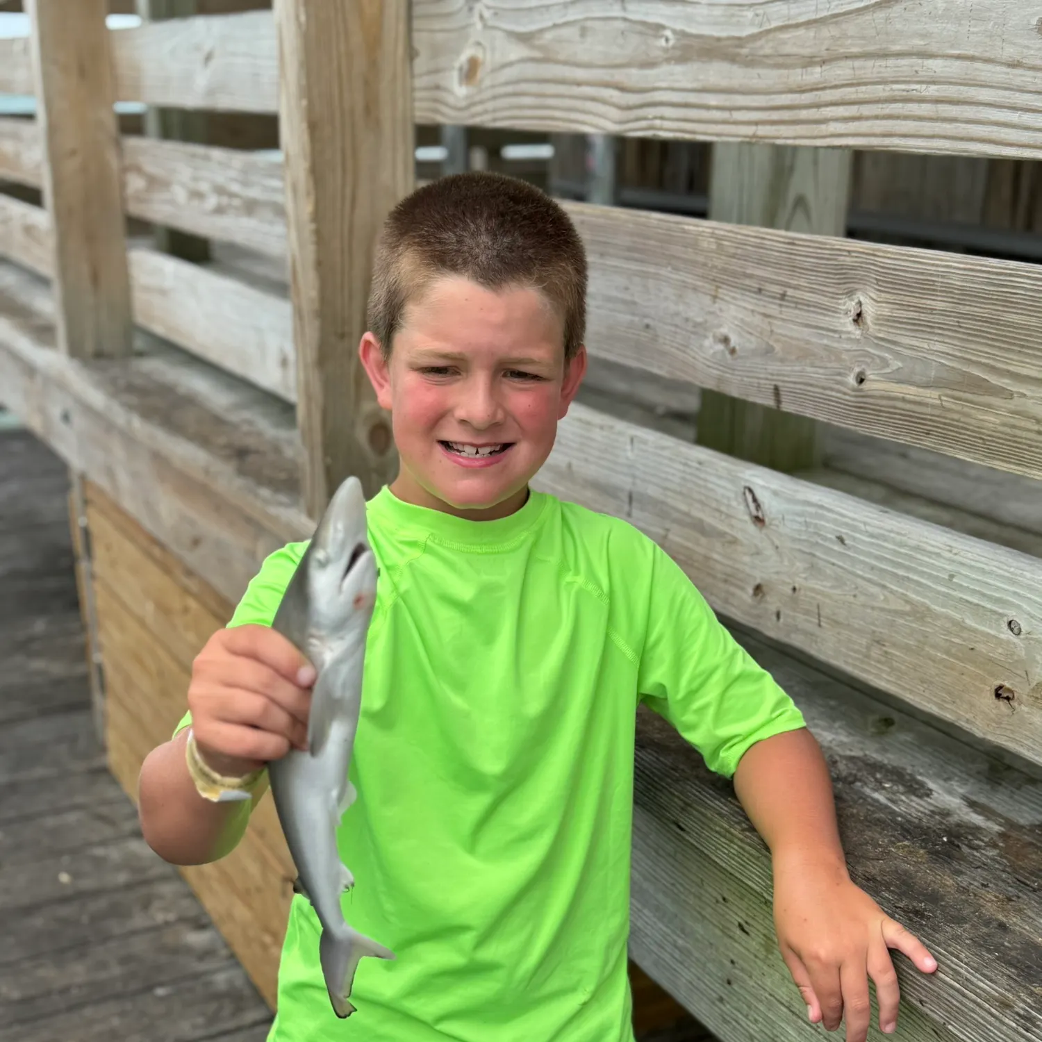 The most recent Atlantic sharpnose shark catches on Fishbrain