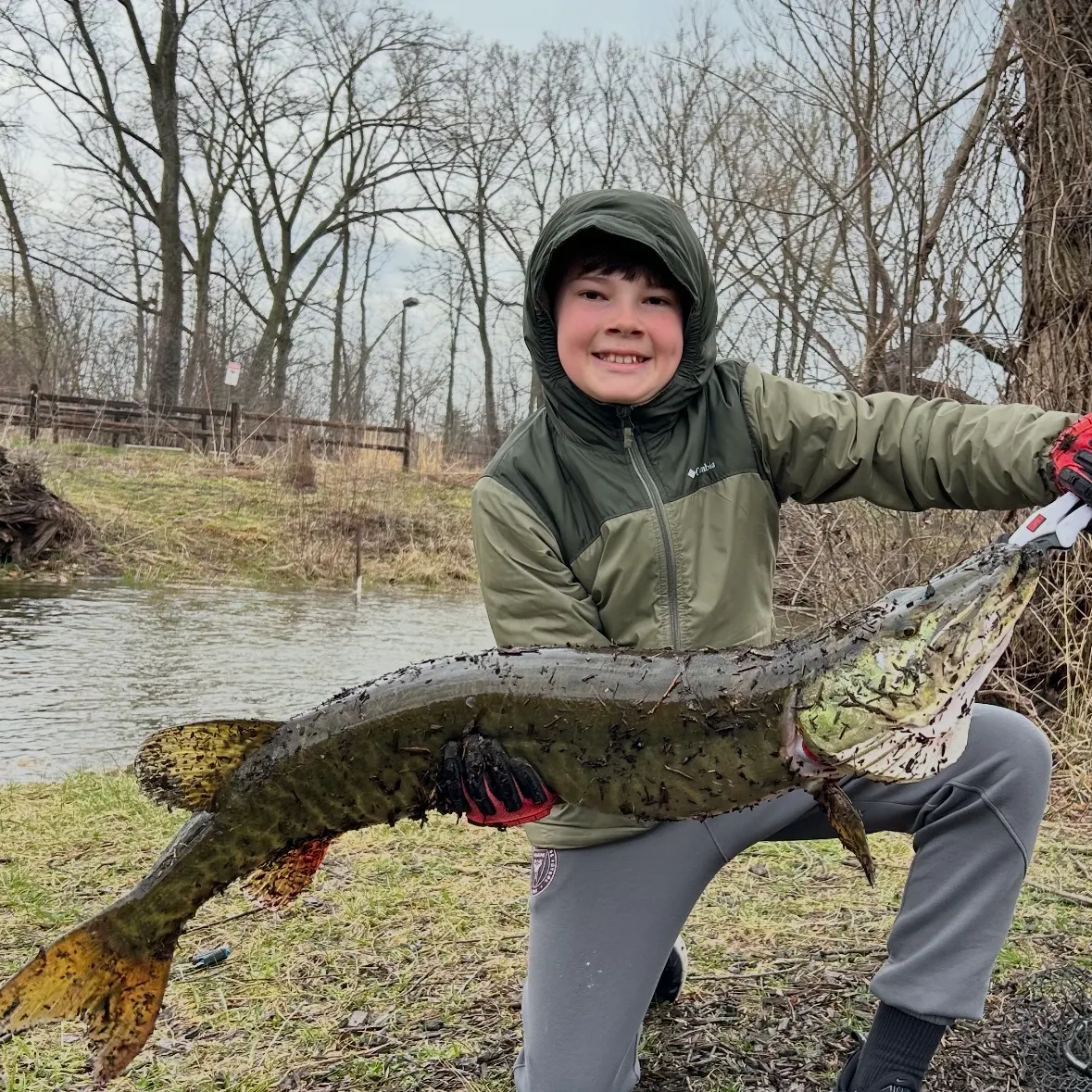 The most recent Muskellunge catches on Fishbrain