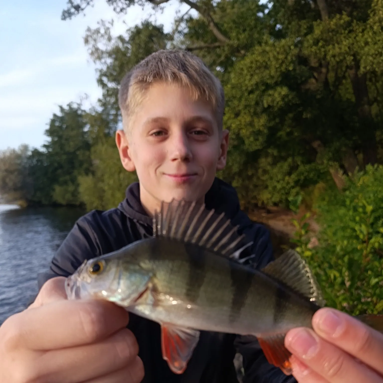 European perch caught on Fishbrain