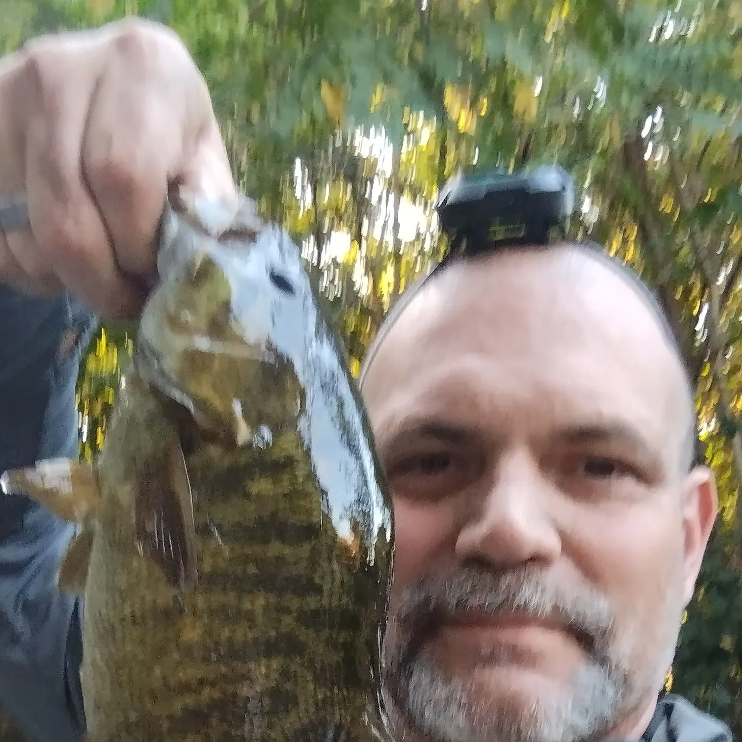 Smallmouth bass caught on Fishbrain